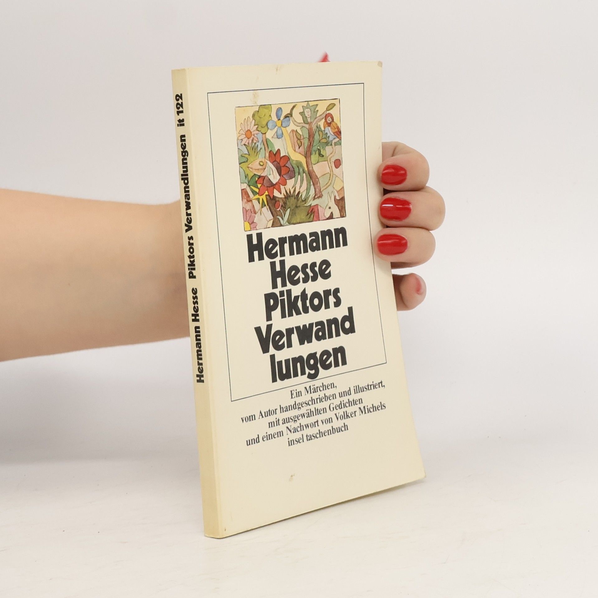 Hermann Hesse Piktors Verwandlungen