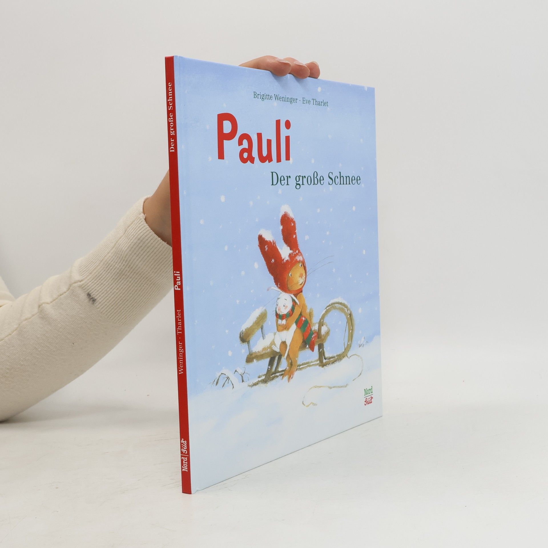 Pauli. Der große Schnee