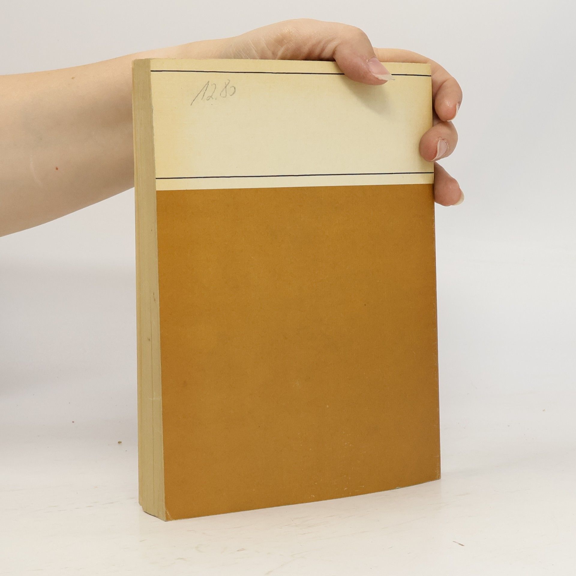 Klaus Schlenzig Bauplan-Bastel-Buch 2