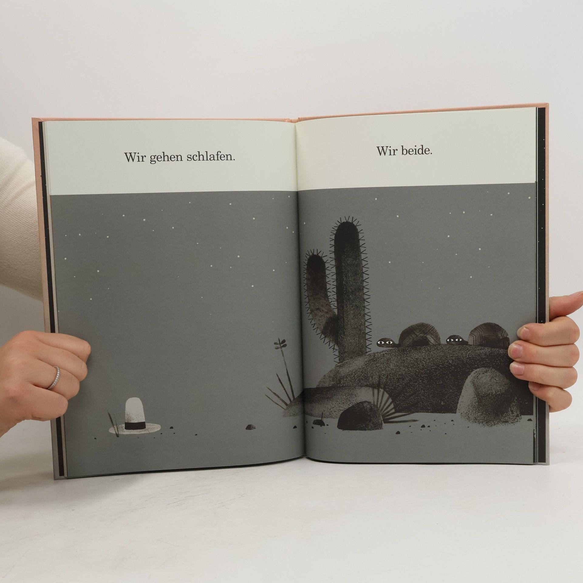 Jon Klassen Wir haben einen Hut
