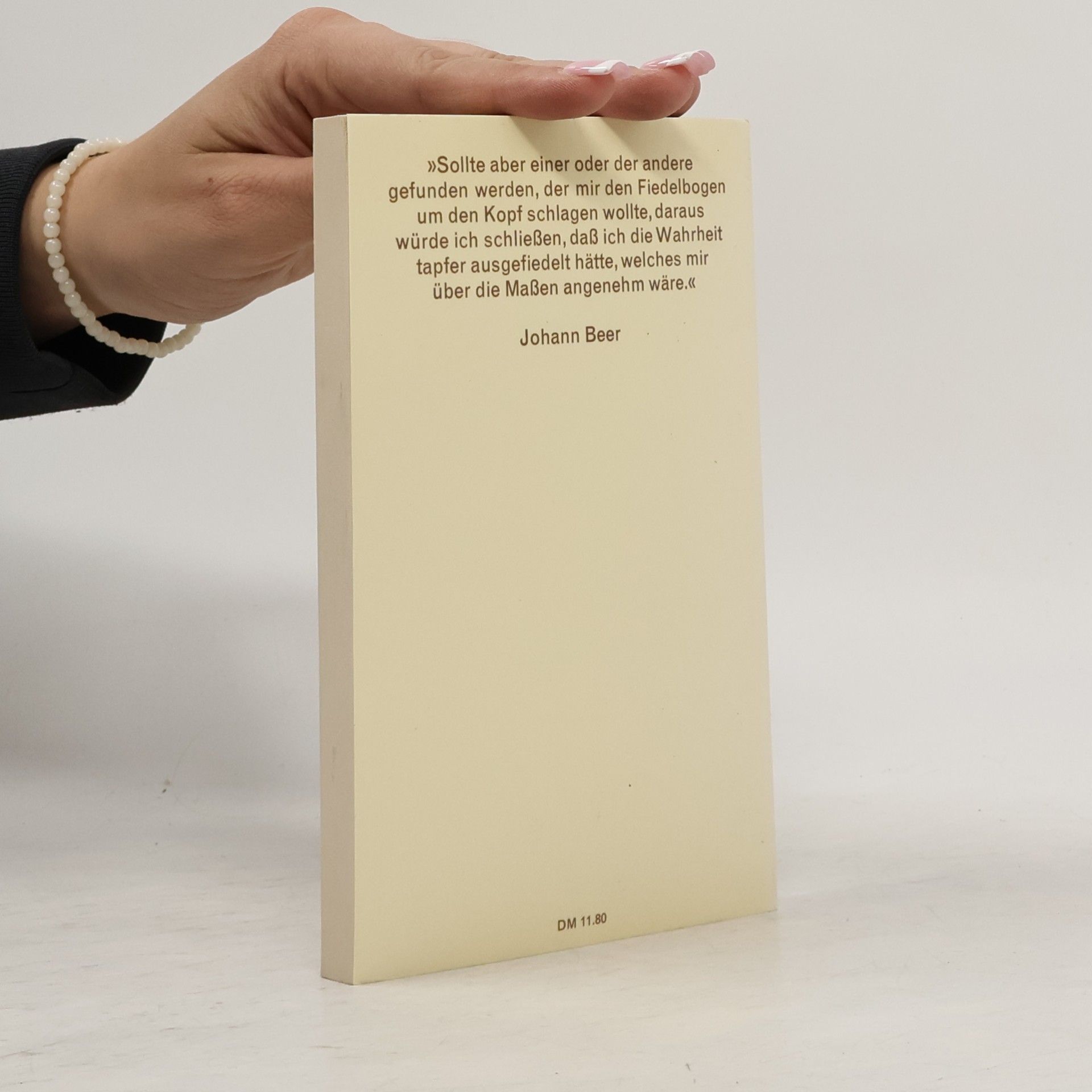 Johann Beer dtv Klassik: Der politische Bratenwender