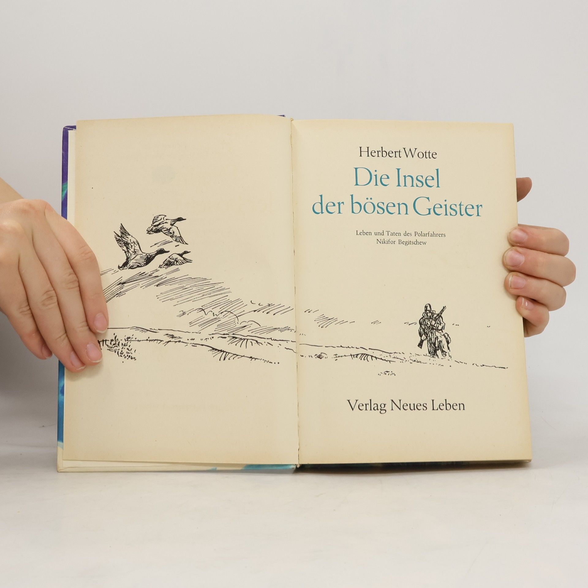Wotte Herbert Die Insel der bösen Geister