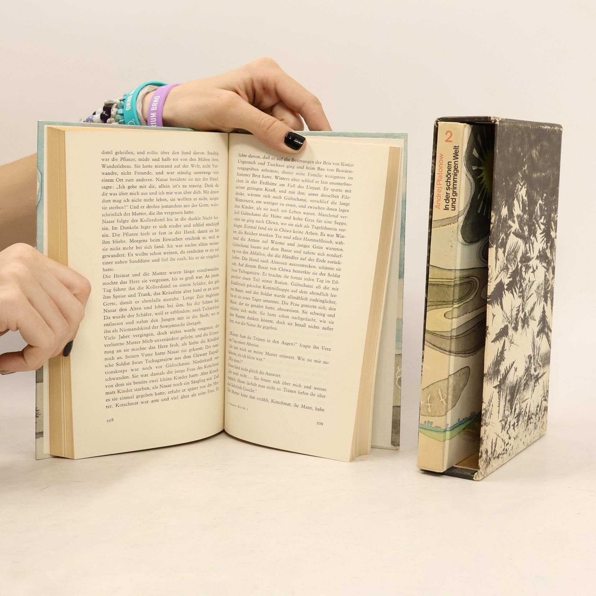 kolektiv In der schönen und grimmigen Welt 1-2