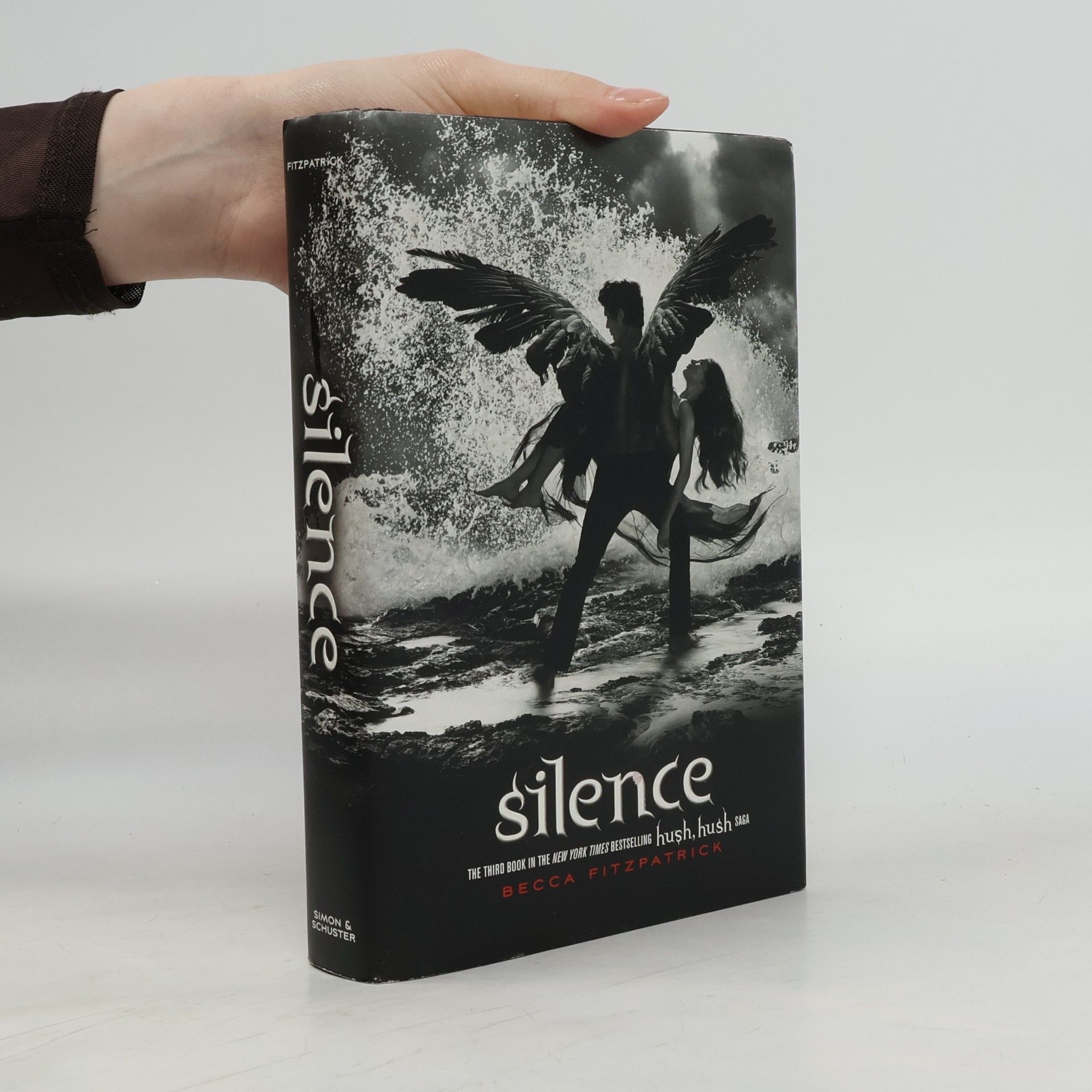 Becca Fitzpatrick Silence