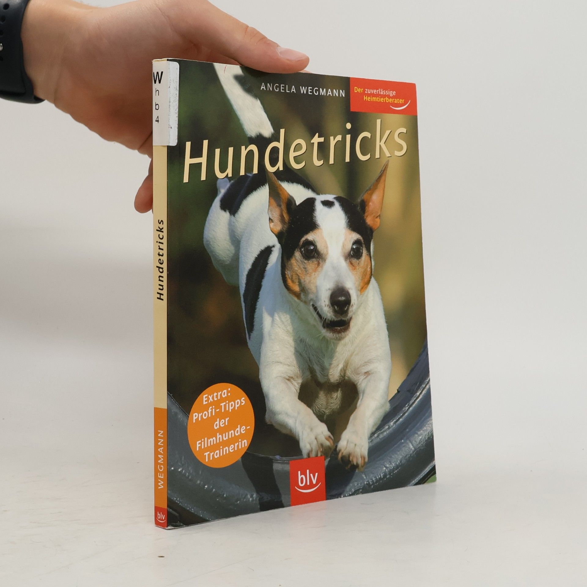 Hundetricks