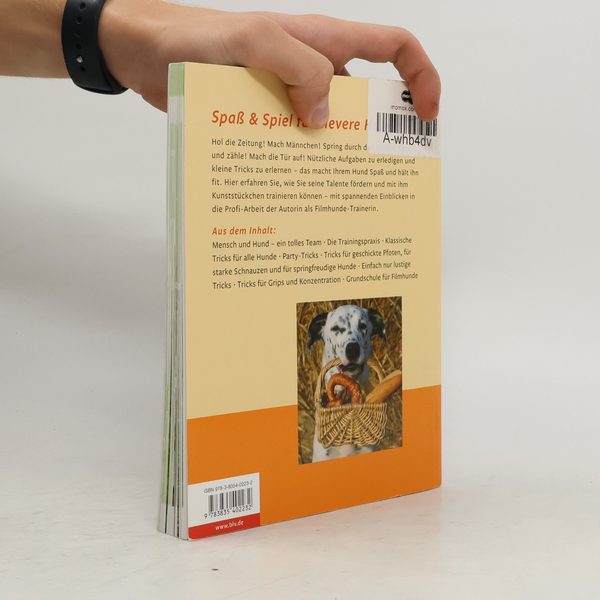 Angela Wegmann Hundetricks