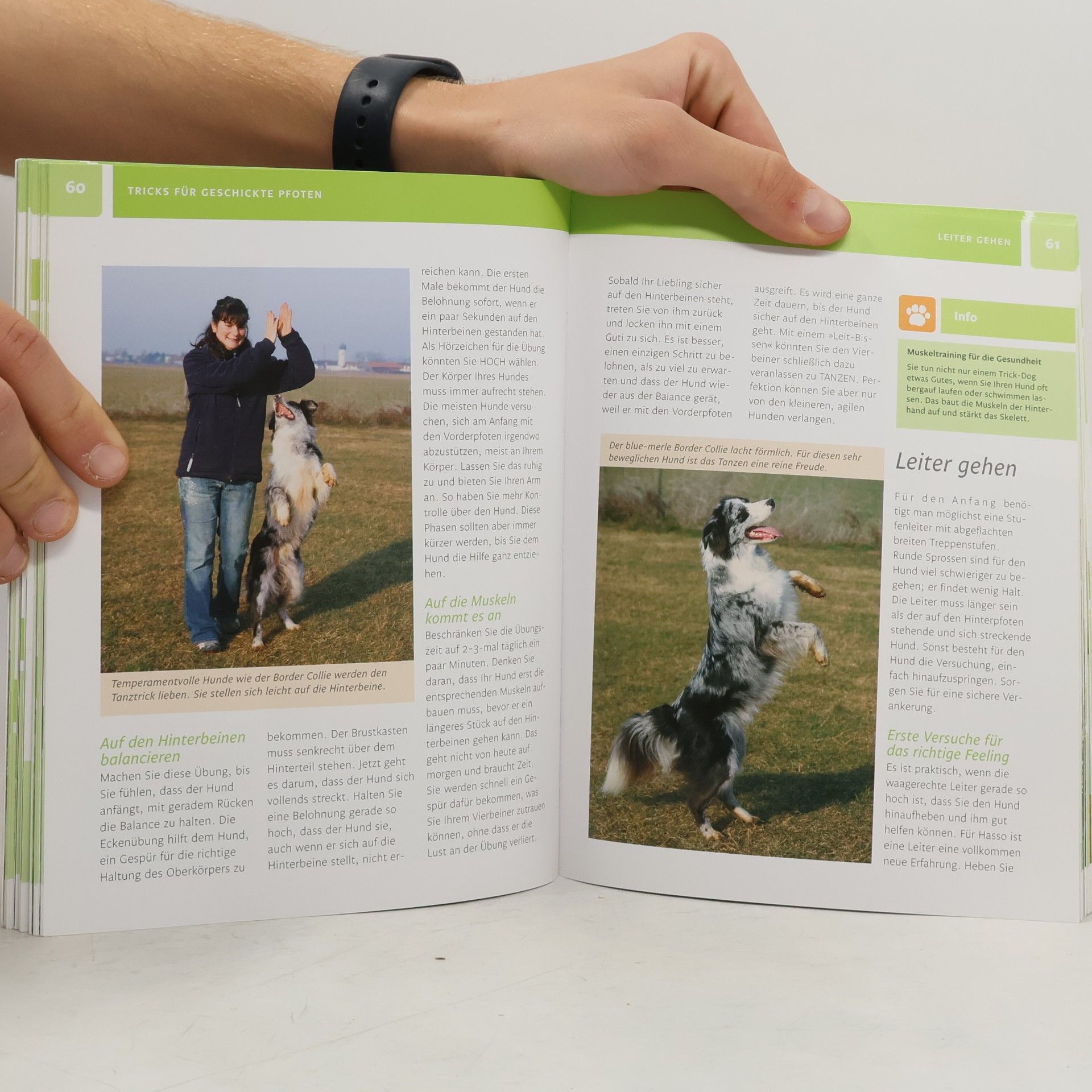 Angela Wegmann Hundetricks