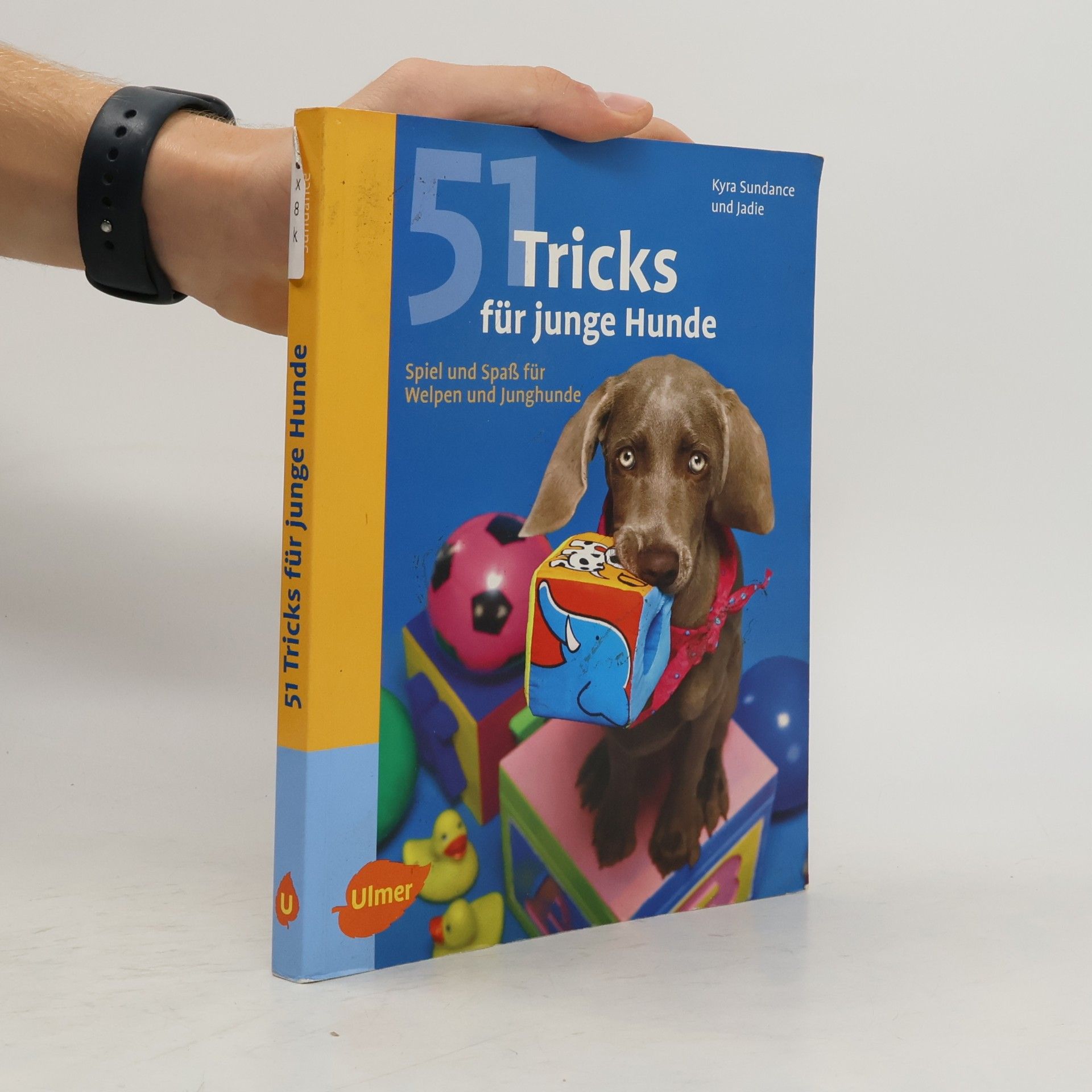 Kyra Sundance 51 Tricks für junge Hunde