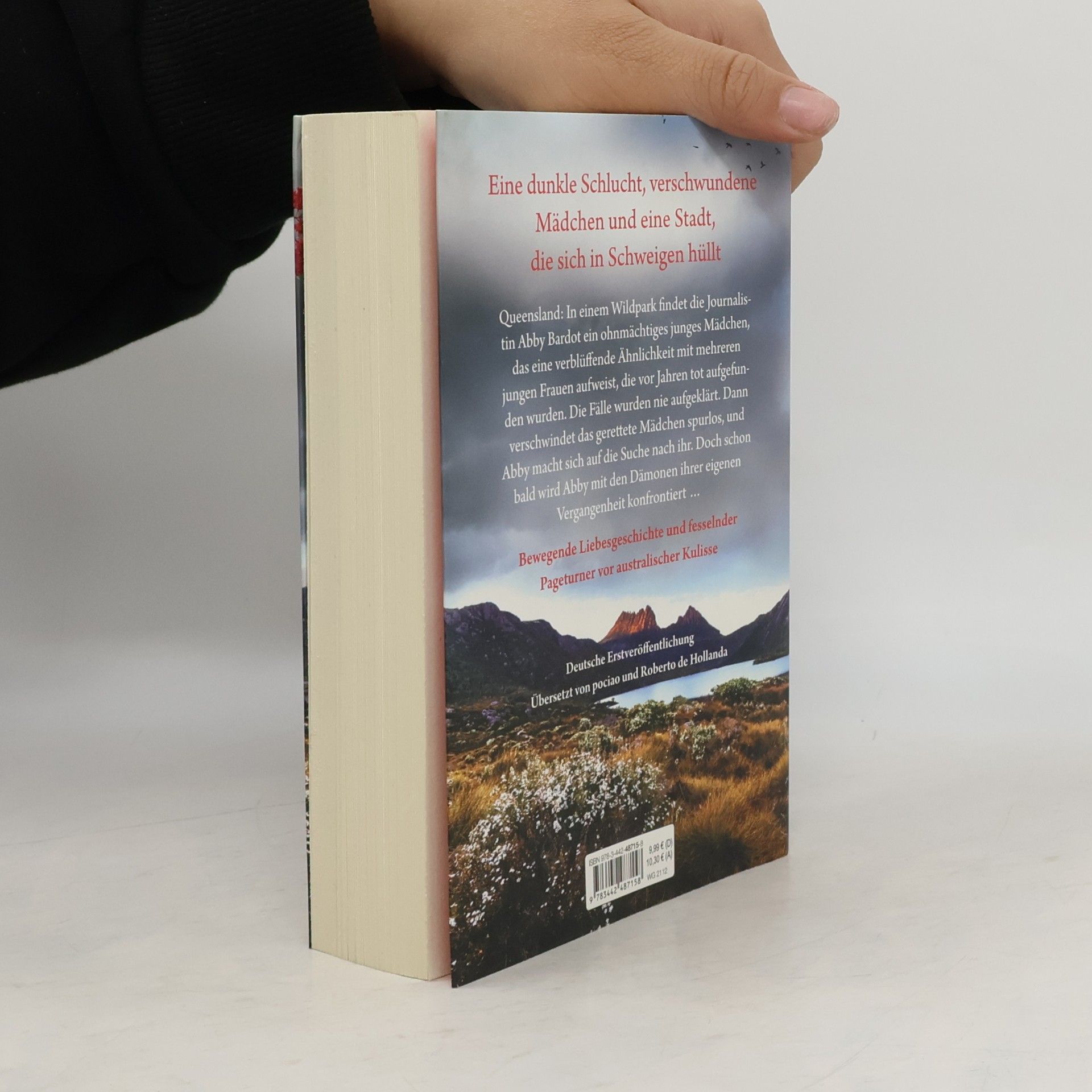 Roberto de Hollanda Das Dornental : roman