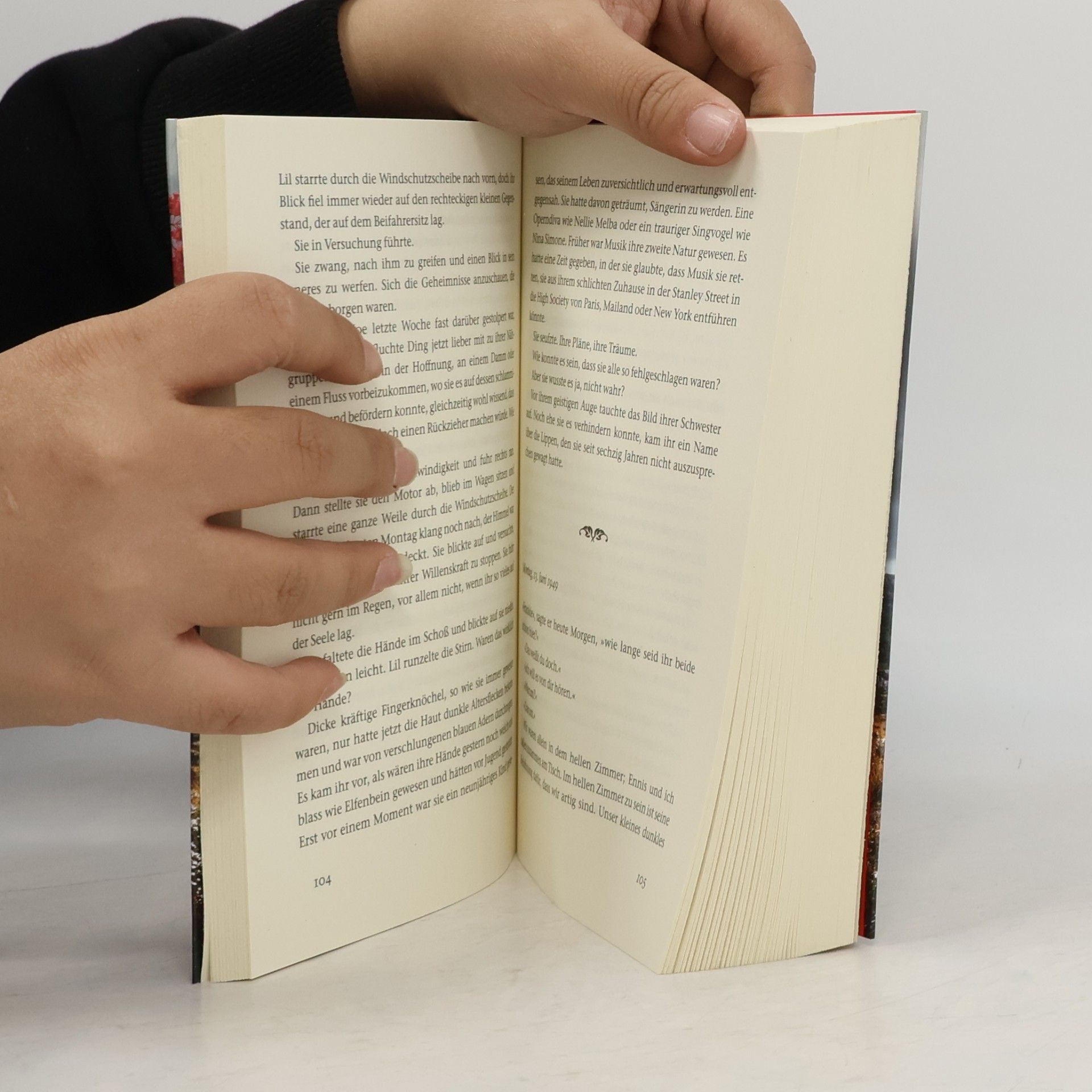 Roberto de Hollanda Das Dornental : roman