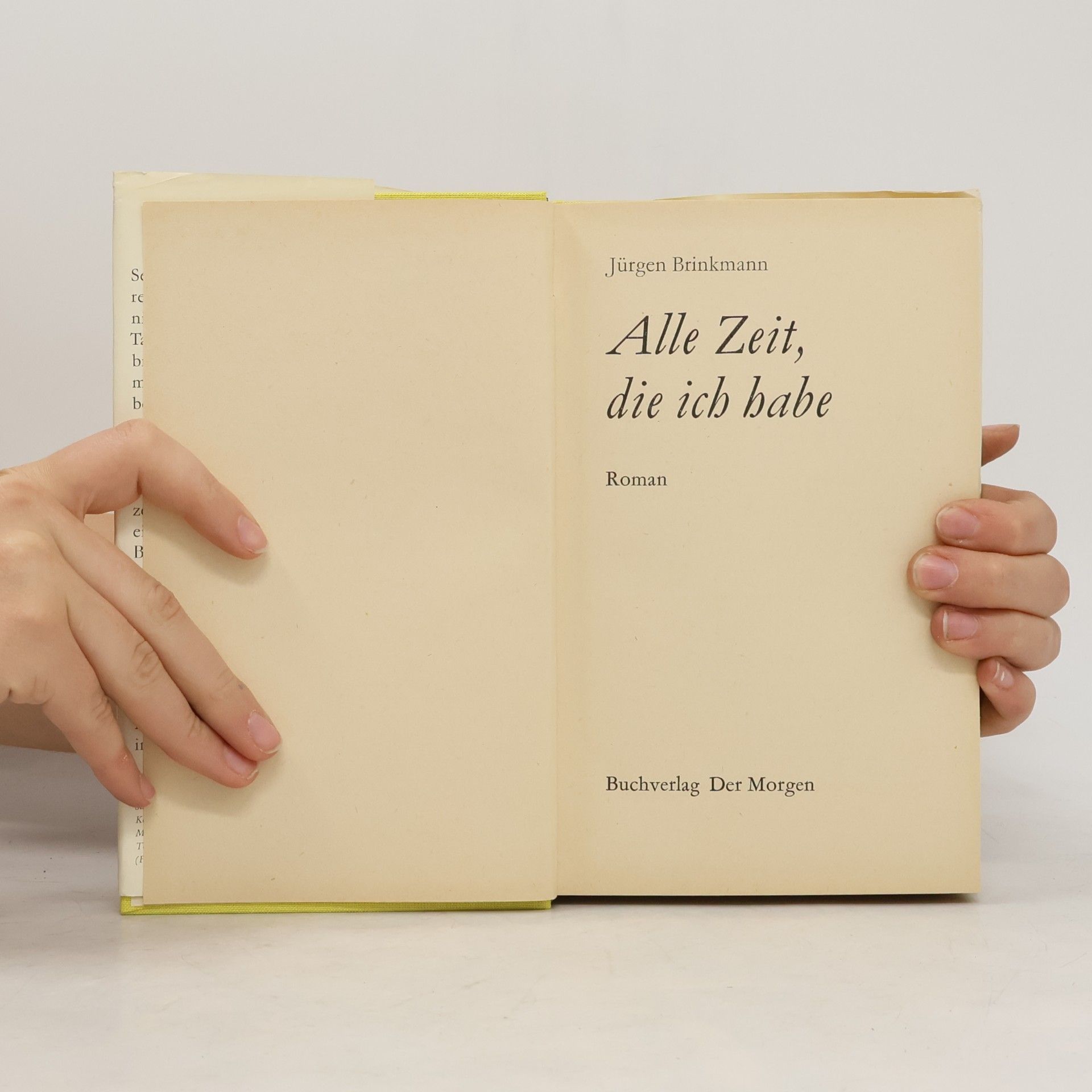 Jürgen Brinkmann Alle Zeit die ich habe