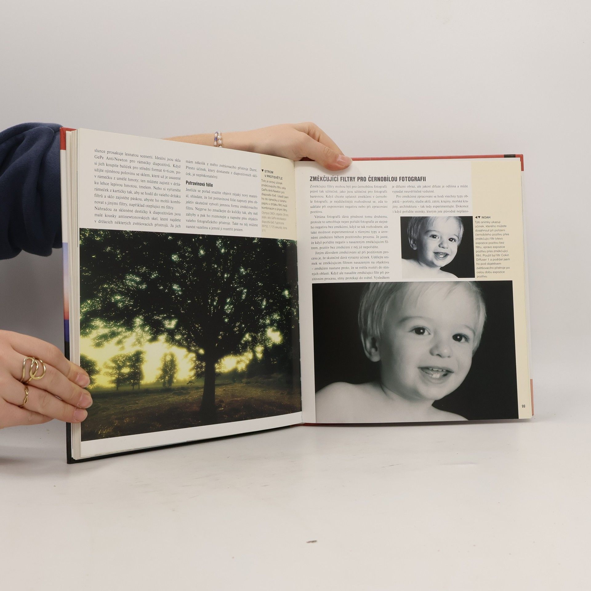 Lee Frost Naučte se fotografovat dobře s filtry