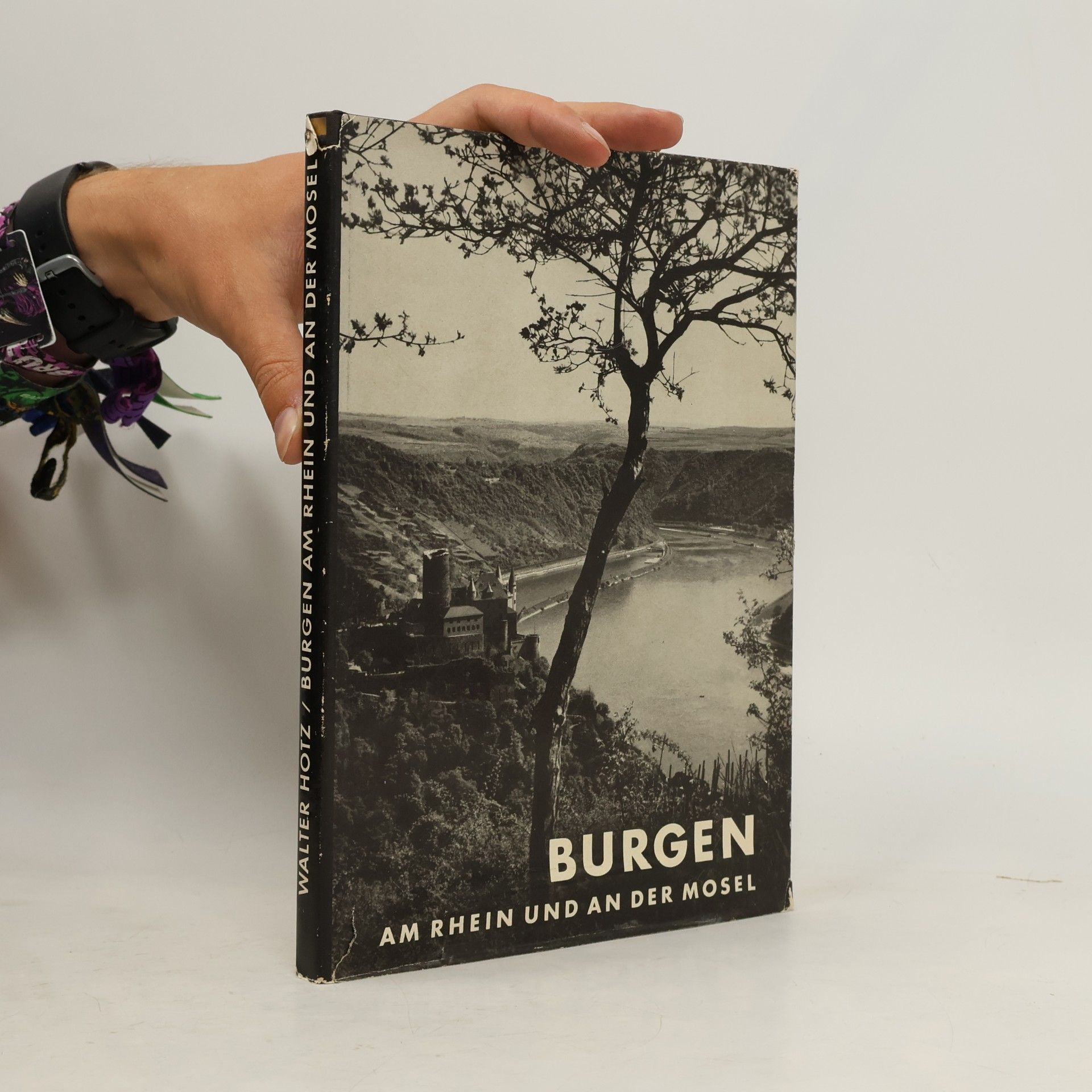 Burgen am Rhein und an der Mosel