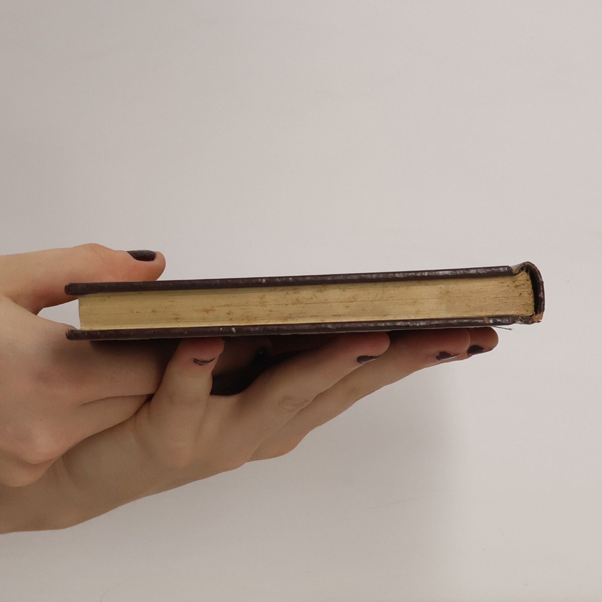 kolektiv STORIA UNIVERSALE DELL'ARTE 21