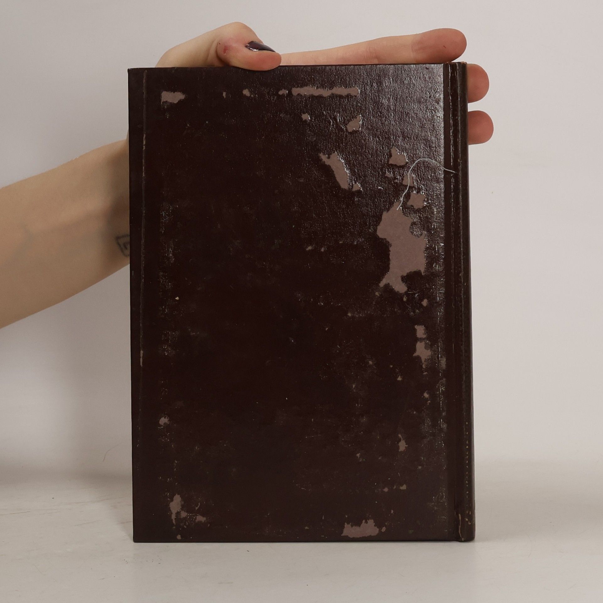 kolektiv STORIA UNIVERSALE DELL'ARTE 21