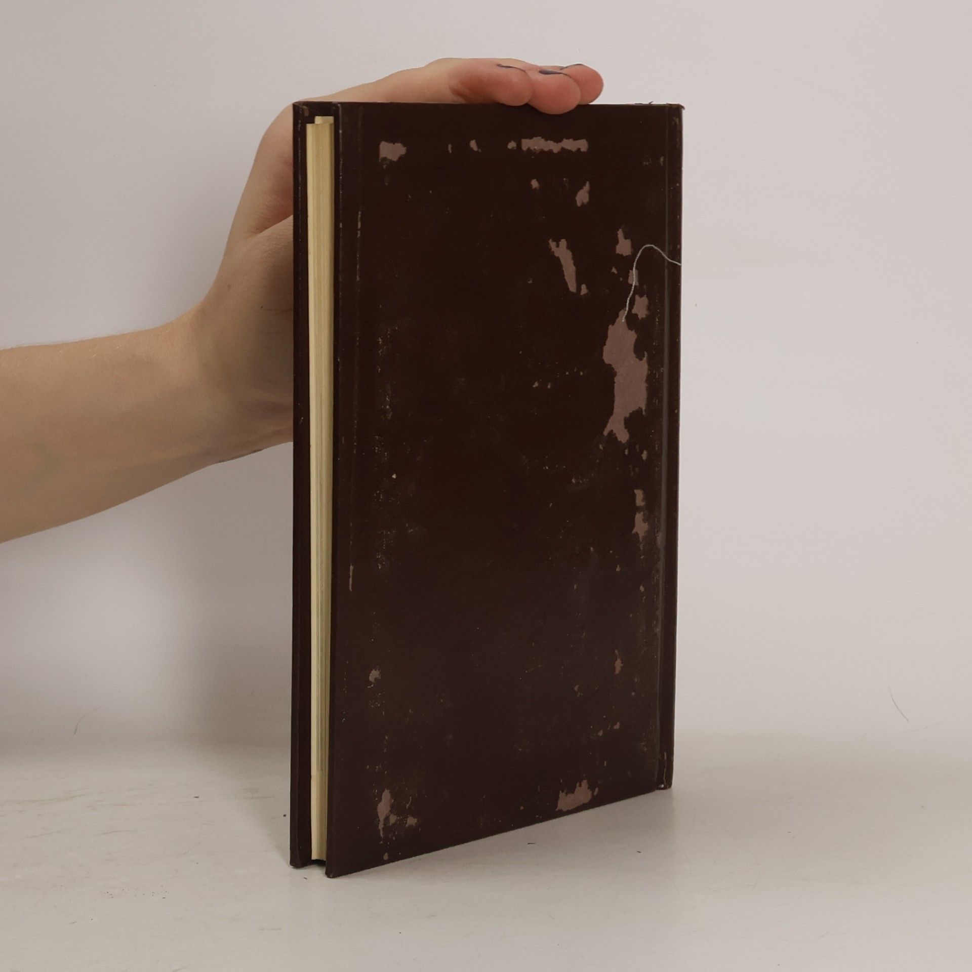 kolektiv STORIA UNIVERSALE DELL'ARTE 21