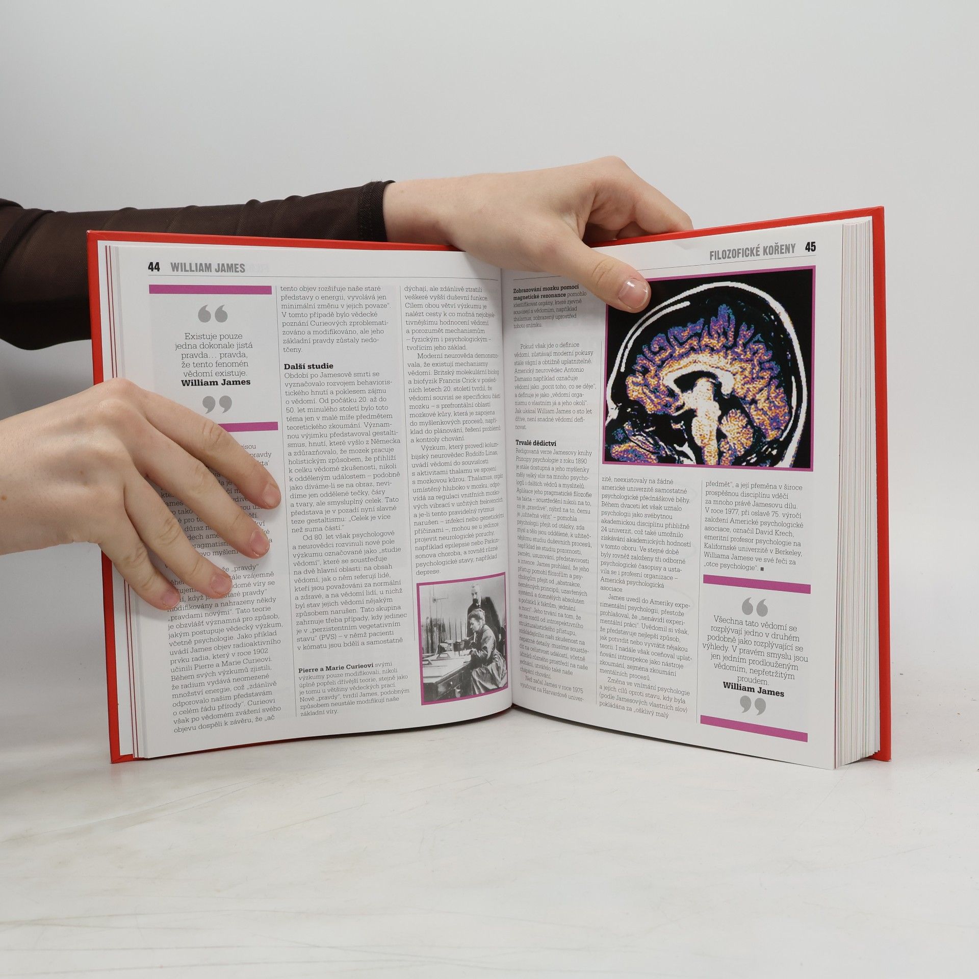 Autorenkollektiv Kniha psychologie