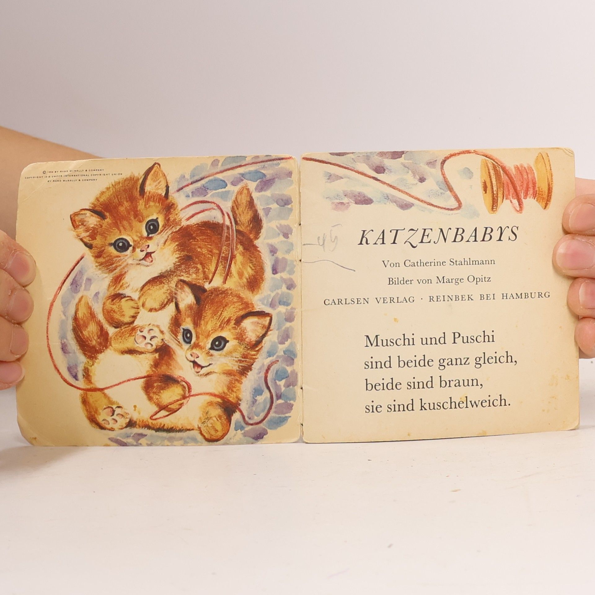 Catherine Stahlmann Katzenbabys