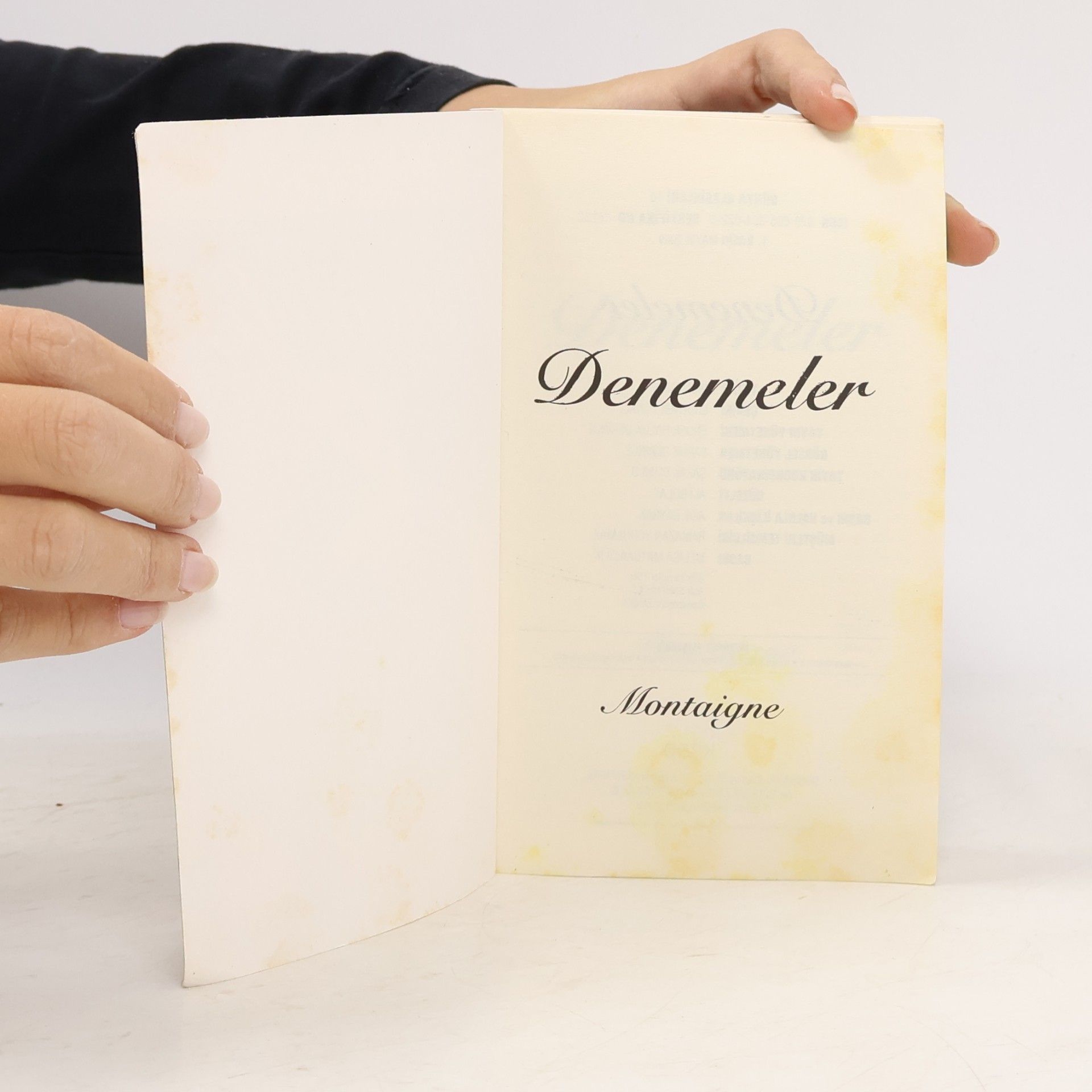 Michel de Montaigne Denemeler
