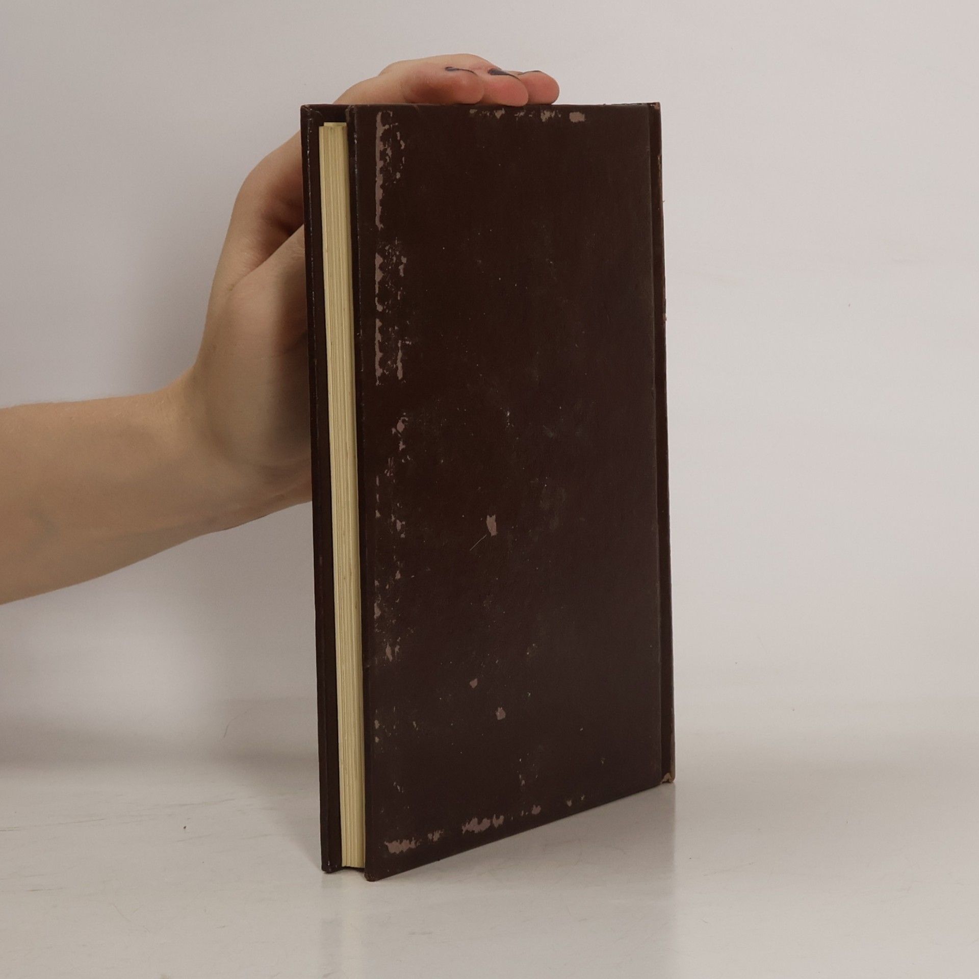 kolektiv Storia universale dell'arte 20