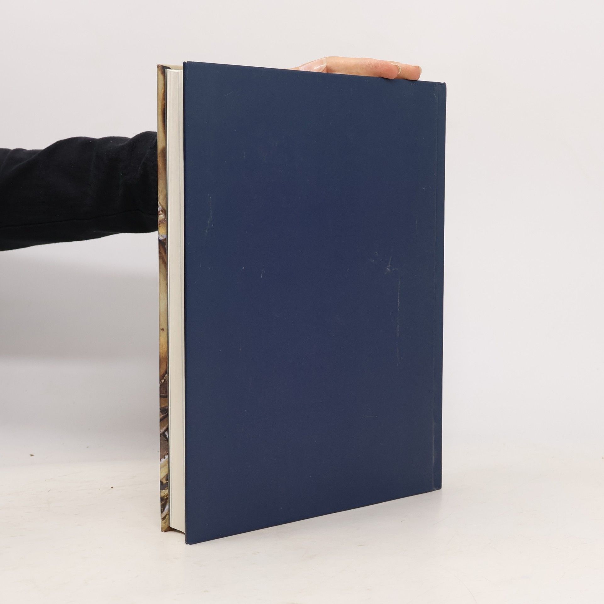 Bettina Seyderhelm Goldschmiedekunst des Mittelalters