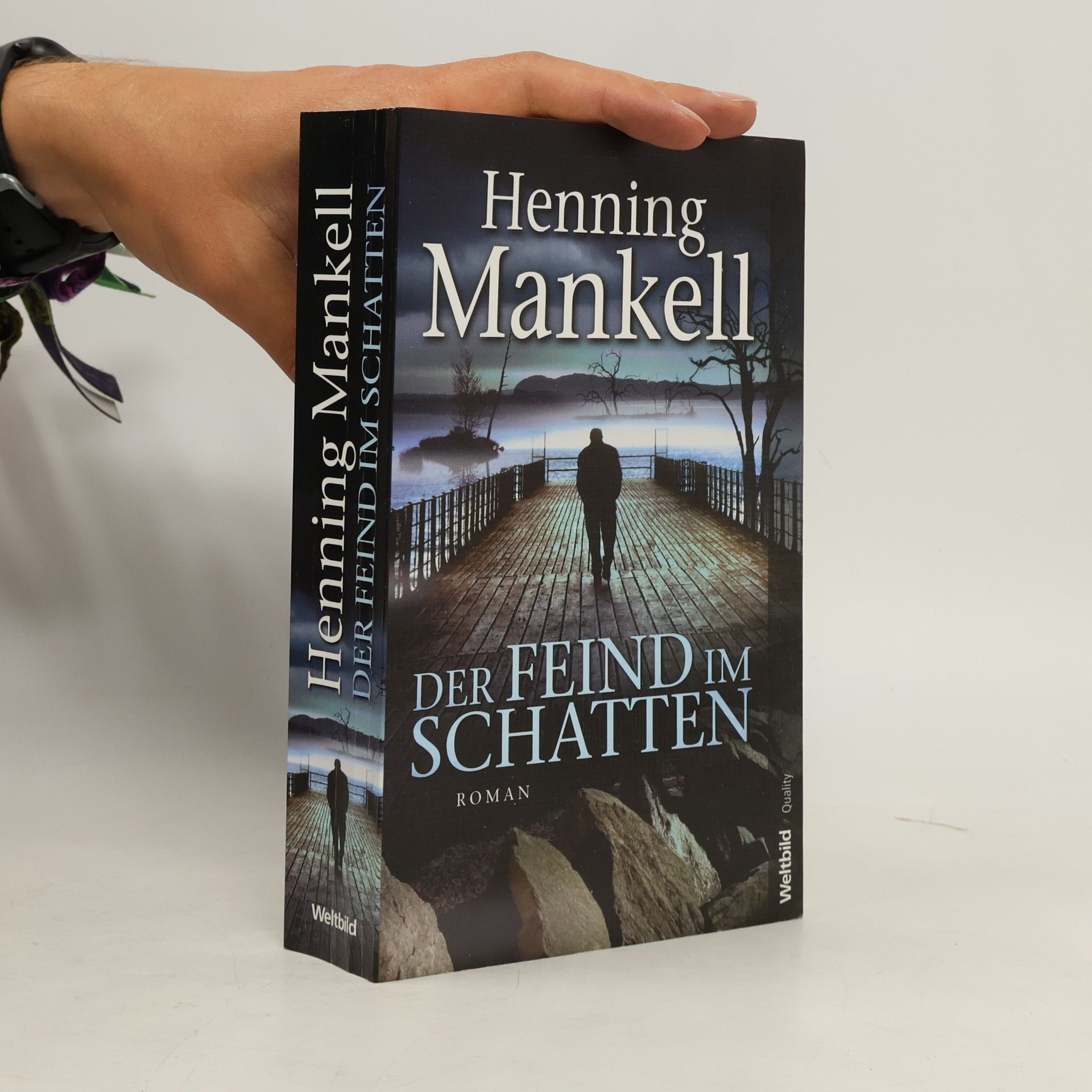 Henning Mankell Der Feind im Schatten