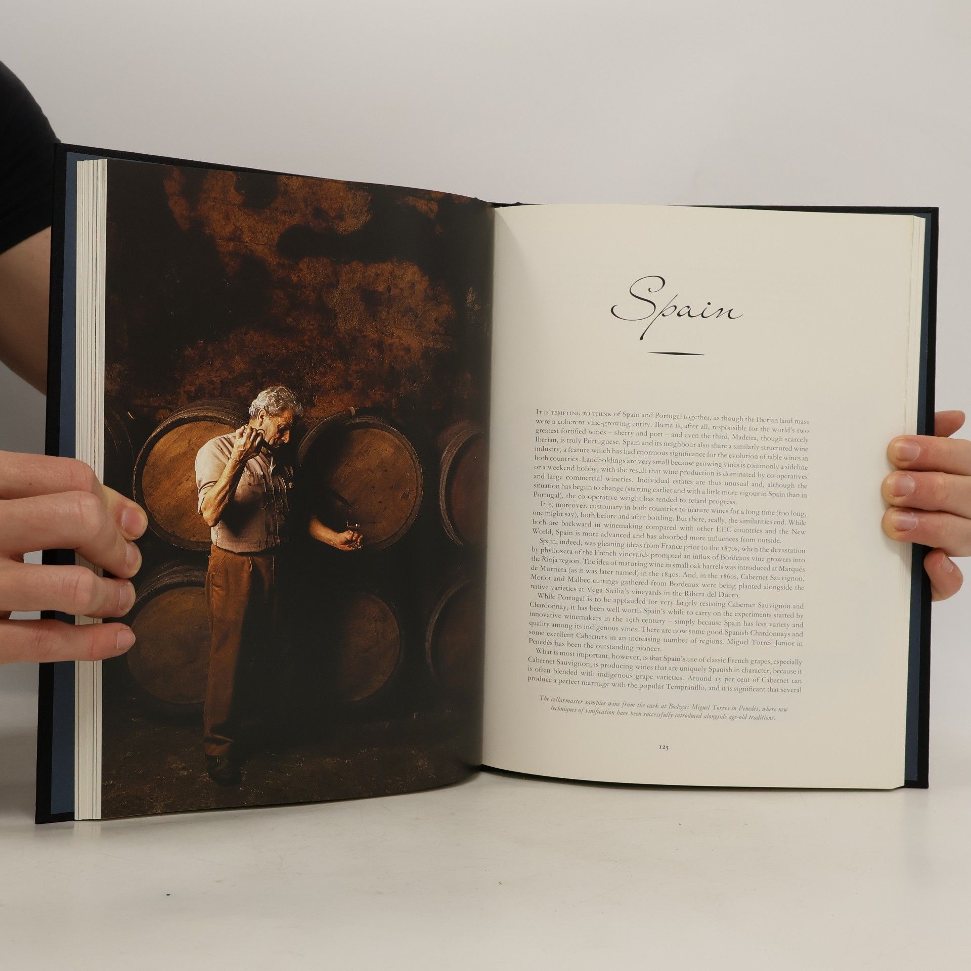 Joanna Simon Harrods Book of Fine Wine