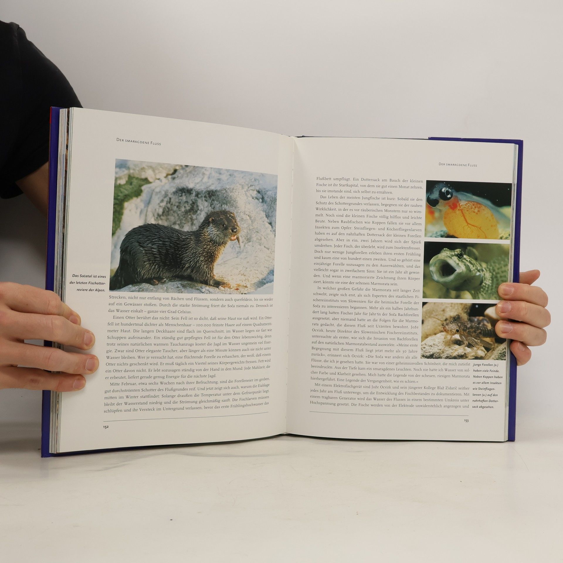 Kolektiv autorů Jahrbuch 1997