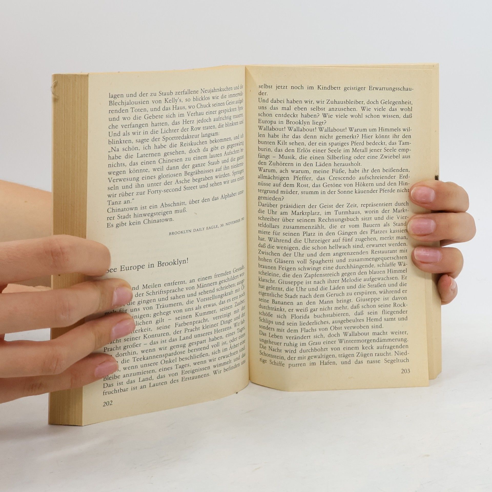 Djuna Barnes Was sehen Sie, Madame?