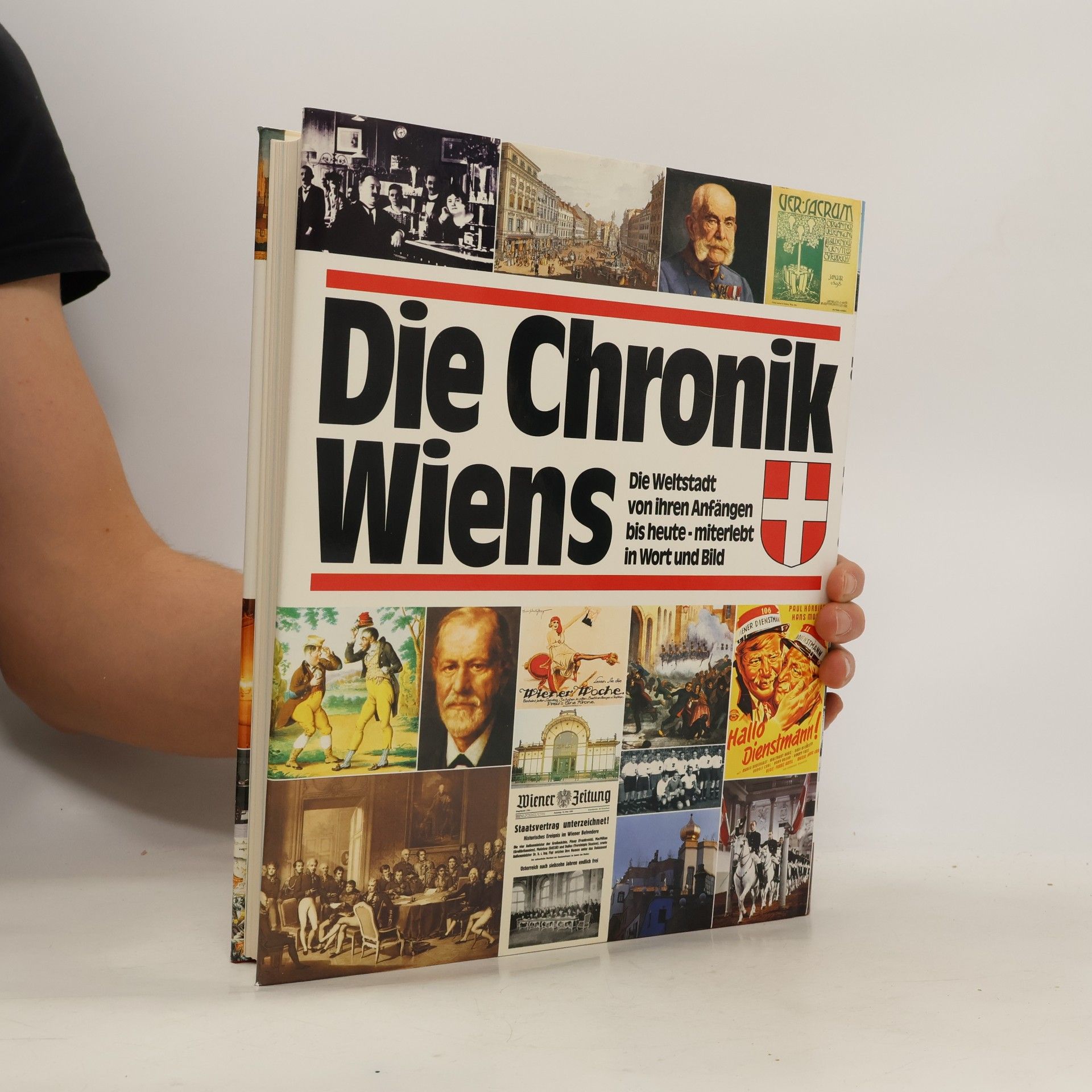 Karl Vocelka Die Chronik Wiens