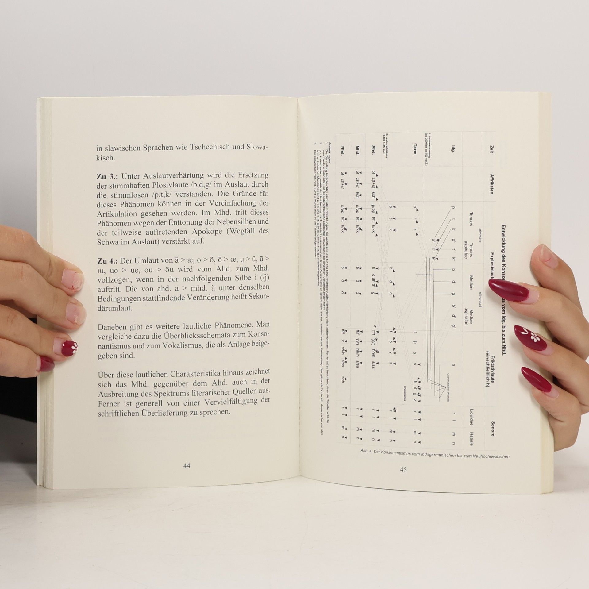 Georg Schuppener Basiswissen Sprachgeschichte