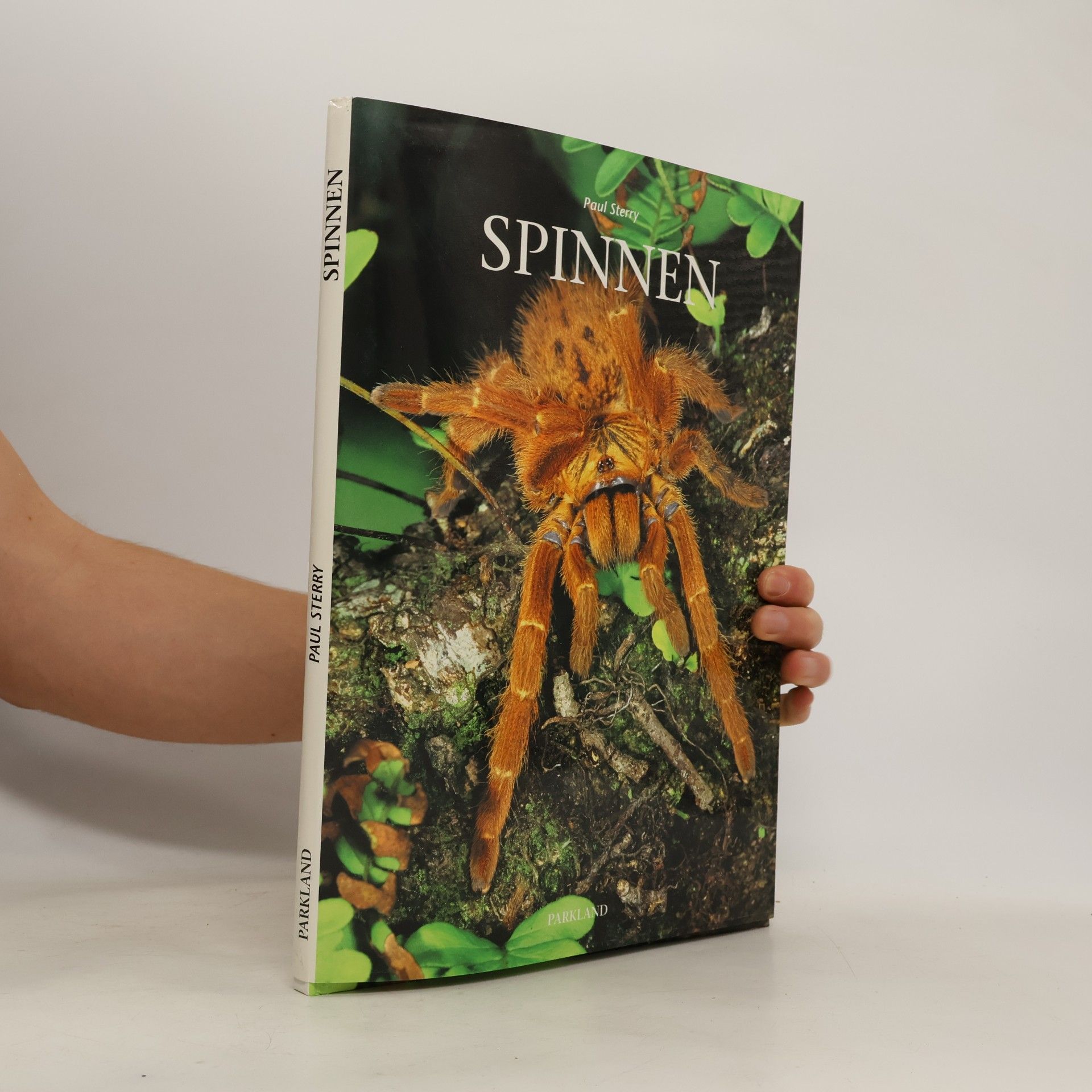 Spinnen