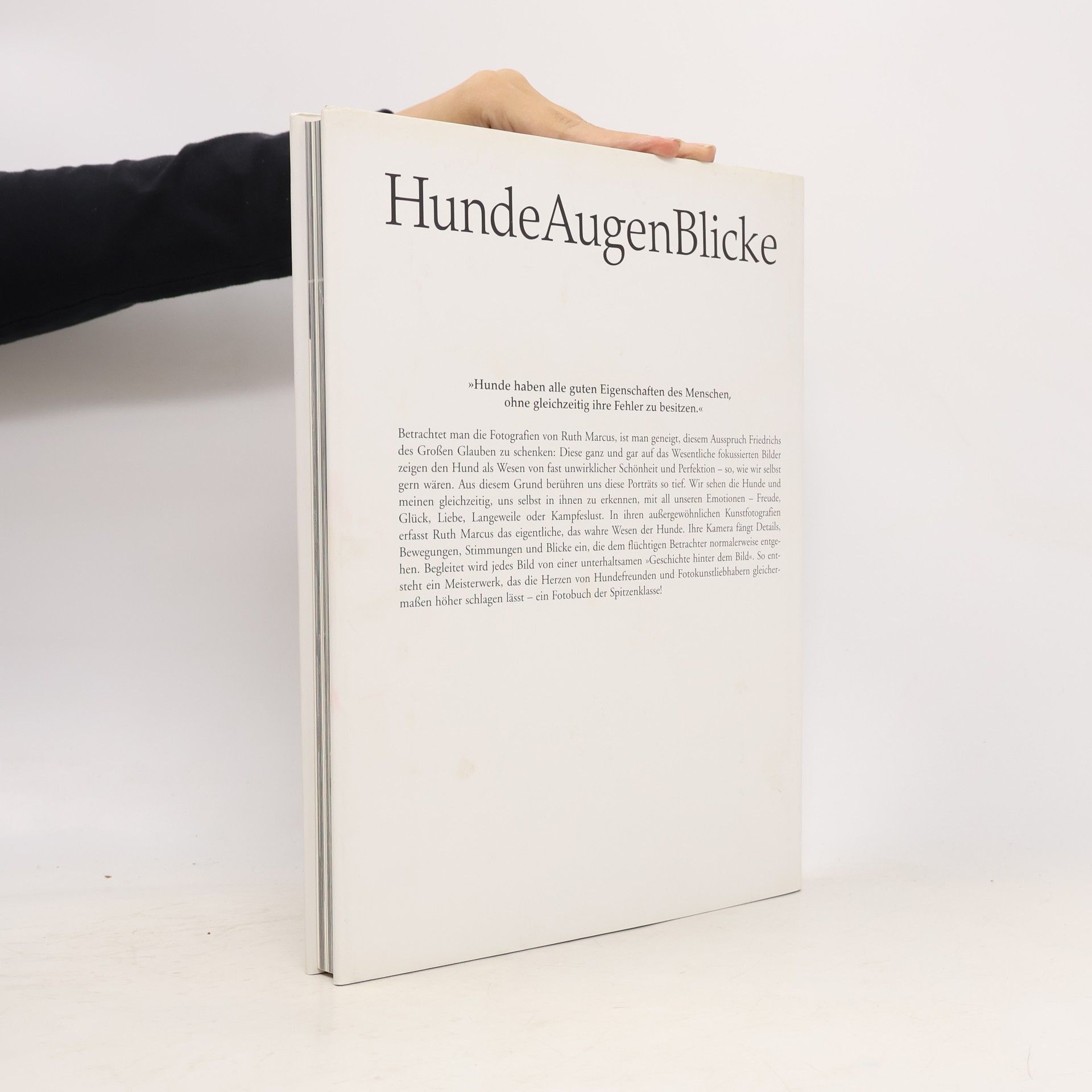 Ruth Marcus HundeAugenBlicke