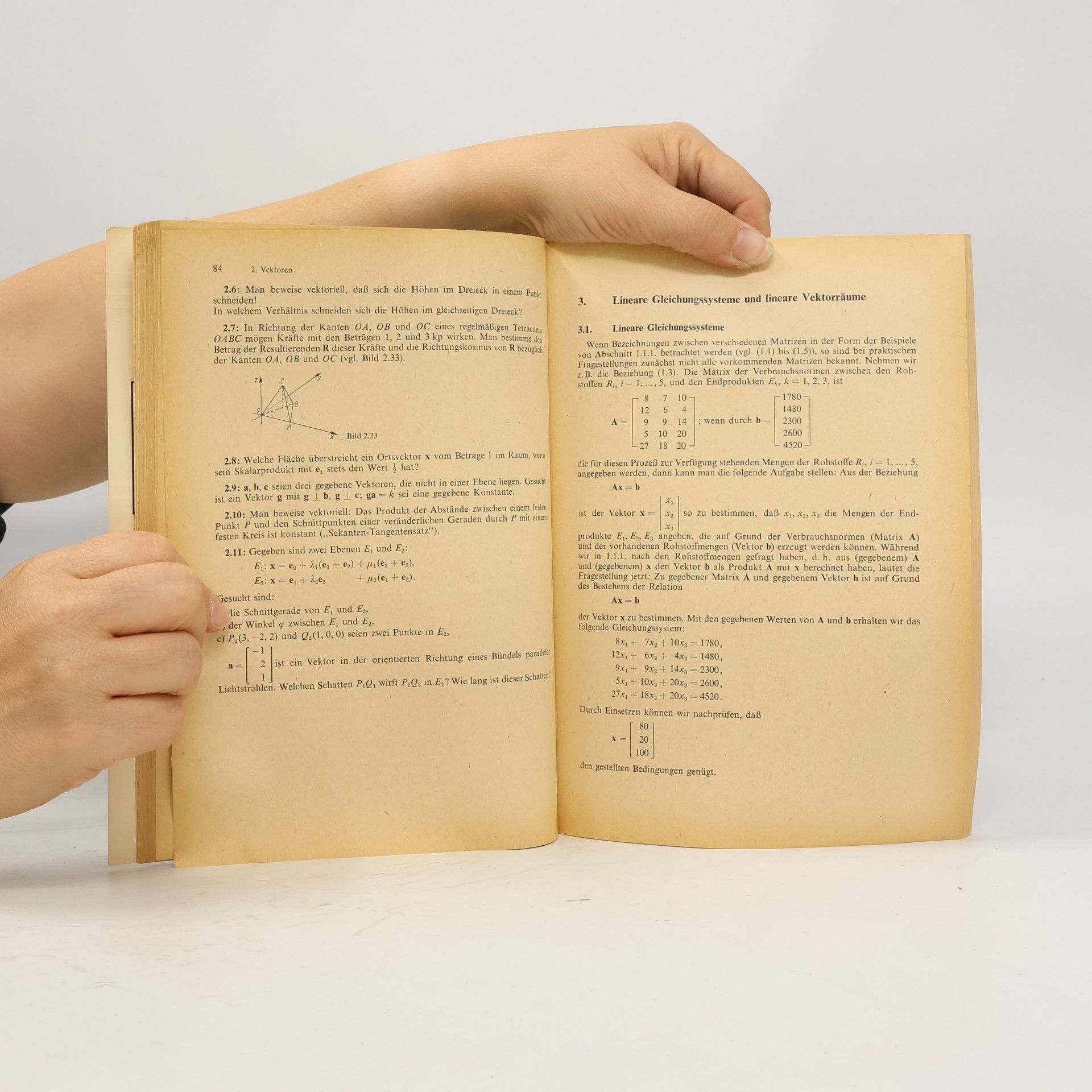 Manteuffel Mathematik: Lineare Algebra 13