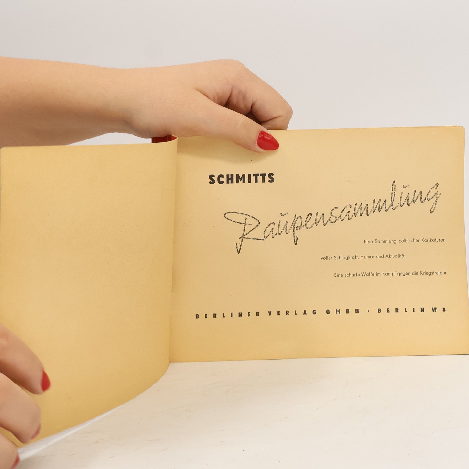 Schmitt Schmitt's Raupensammlung