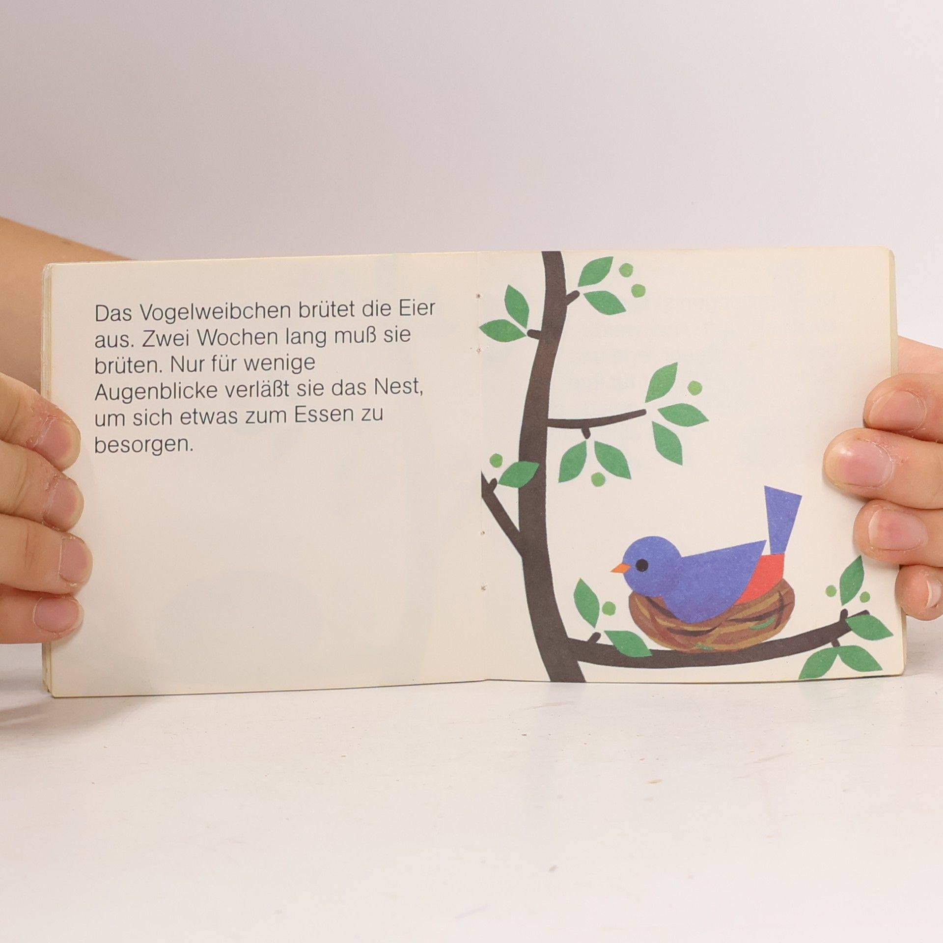 Grete Janus Hertz Eine Vogelfamilie