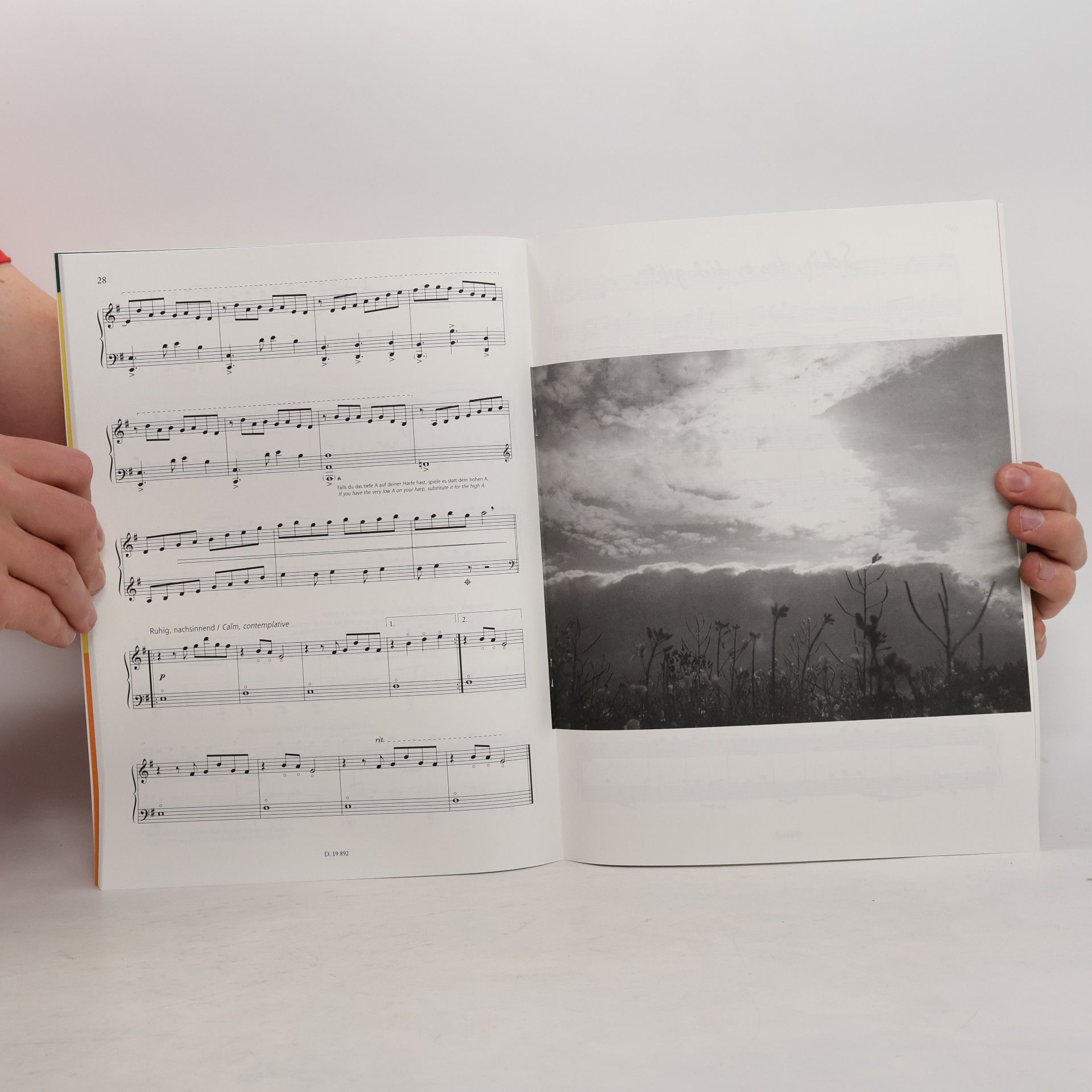 Monika Stadler New Shoots - Old Roots