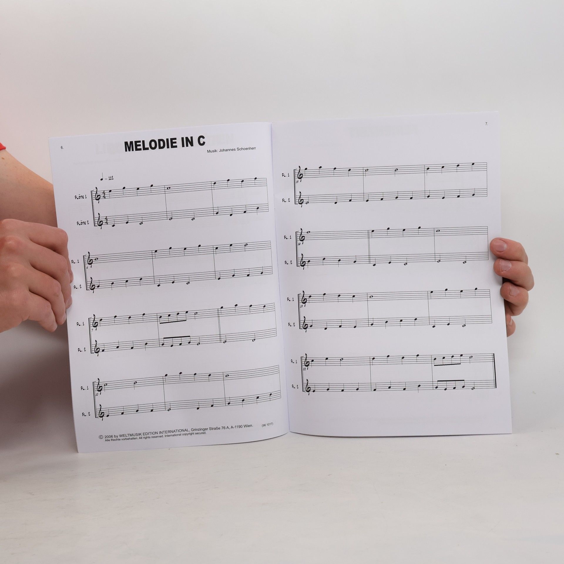 Johannes Schoenherr Flöte spielen, leicht gemacht