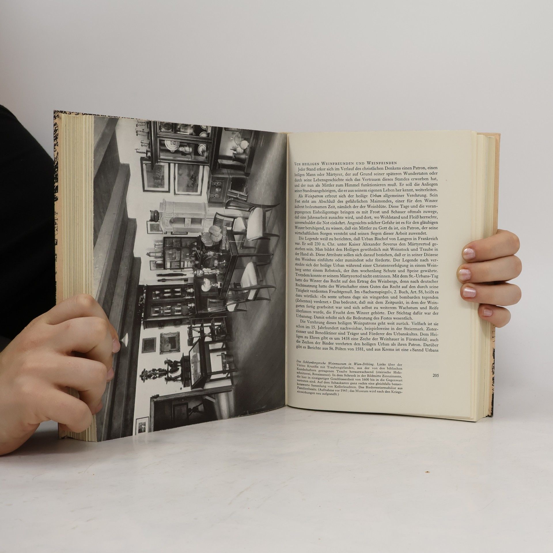 Hans Traxler Das österreichische Weinbuch