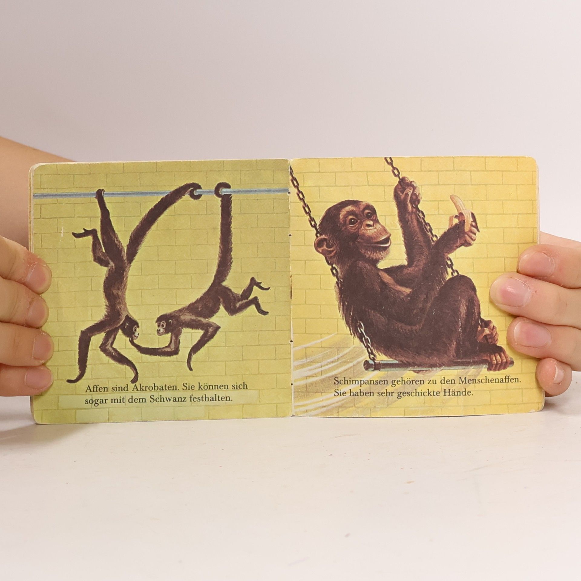 kolektiv Das Kleine Zoobuch