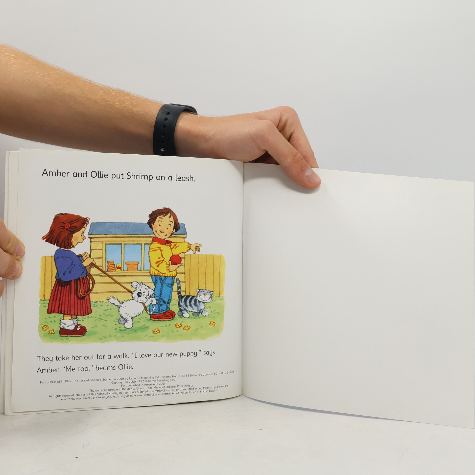 Anne Civardi Usborne First Experiences: The New Puppy