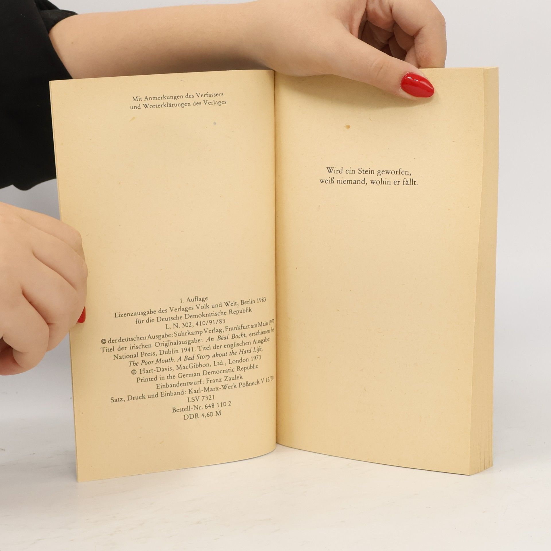 Flann O’Brien Das Barmen