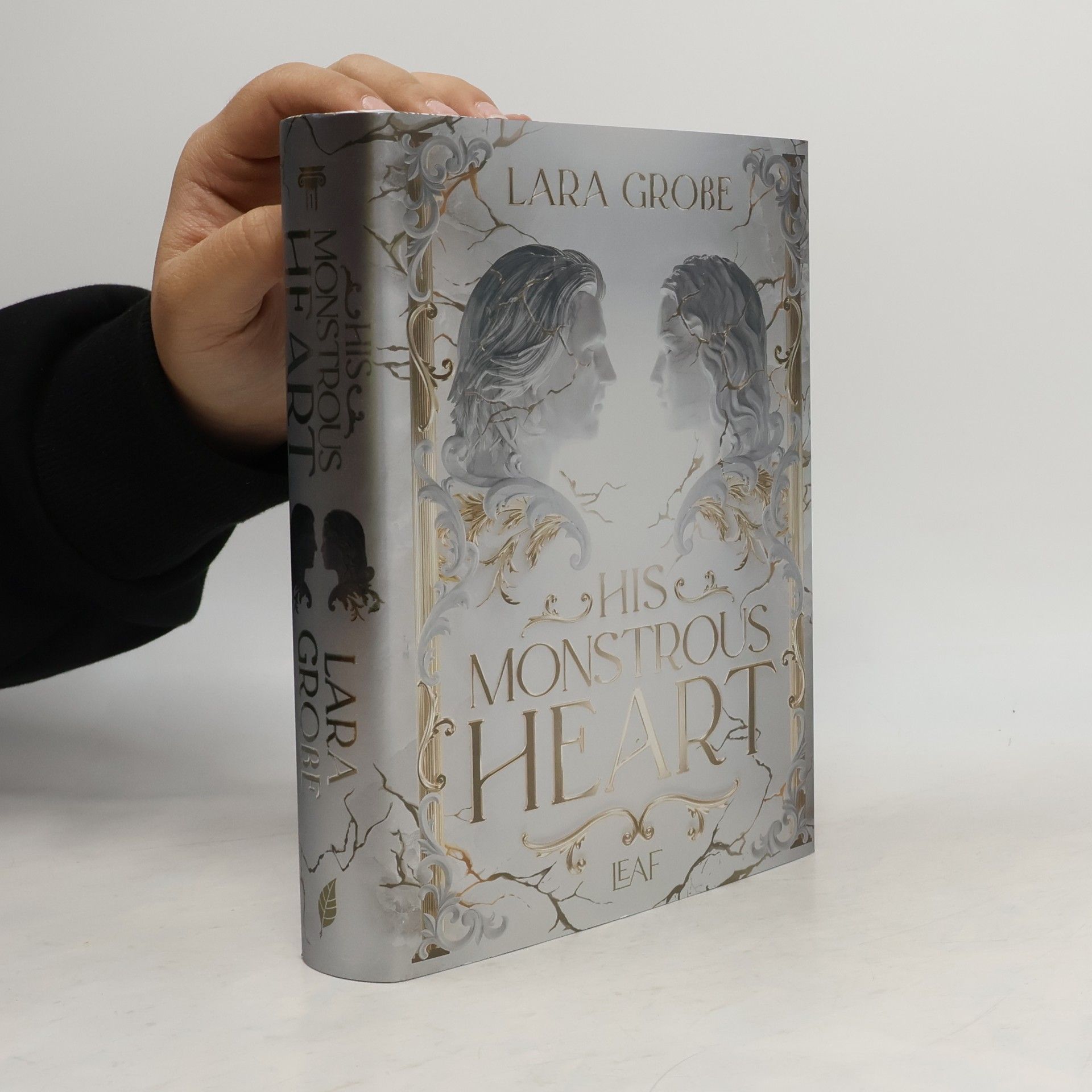Lara Große Andromeda- Dilogie: His Monstrous Heart