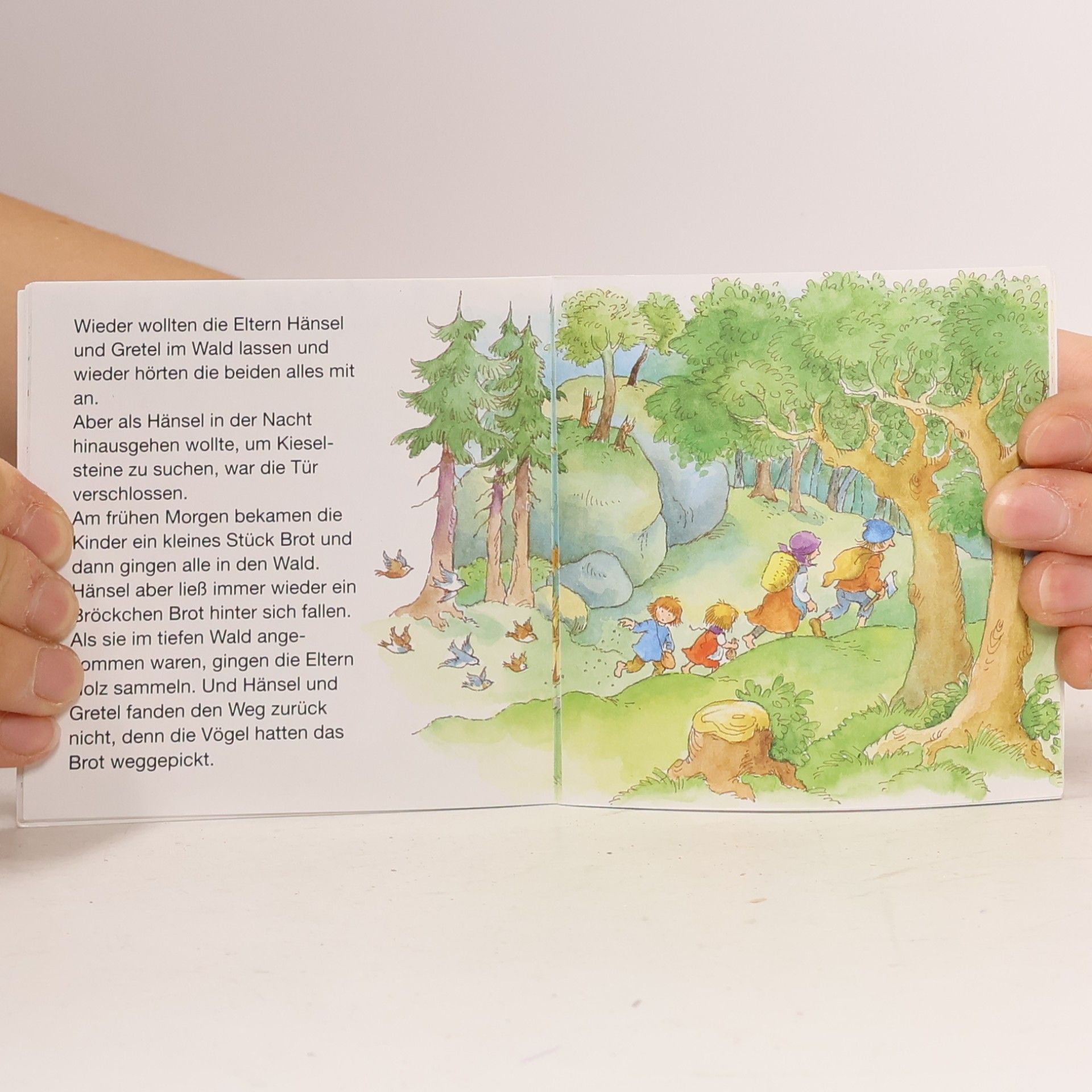 Autorenkollektiv Hänsel und Gretel