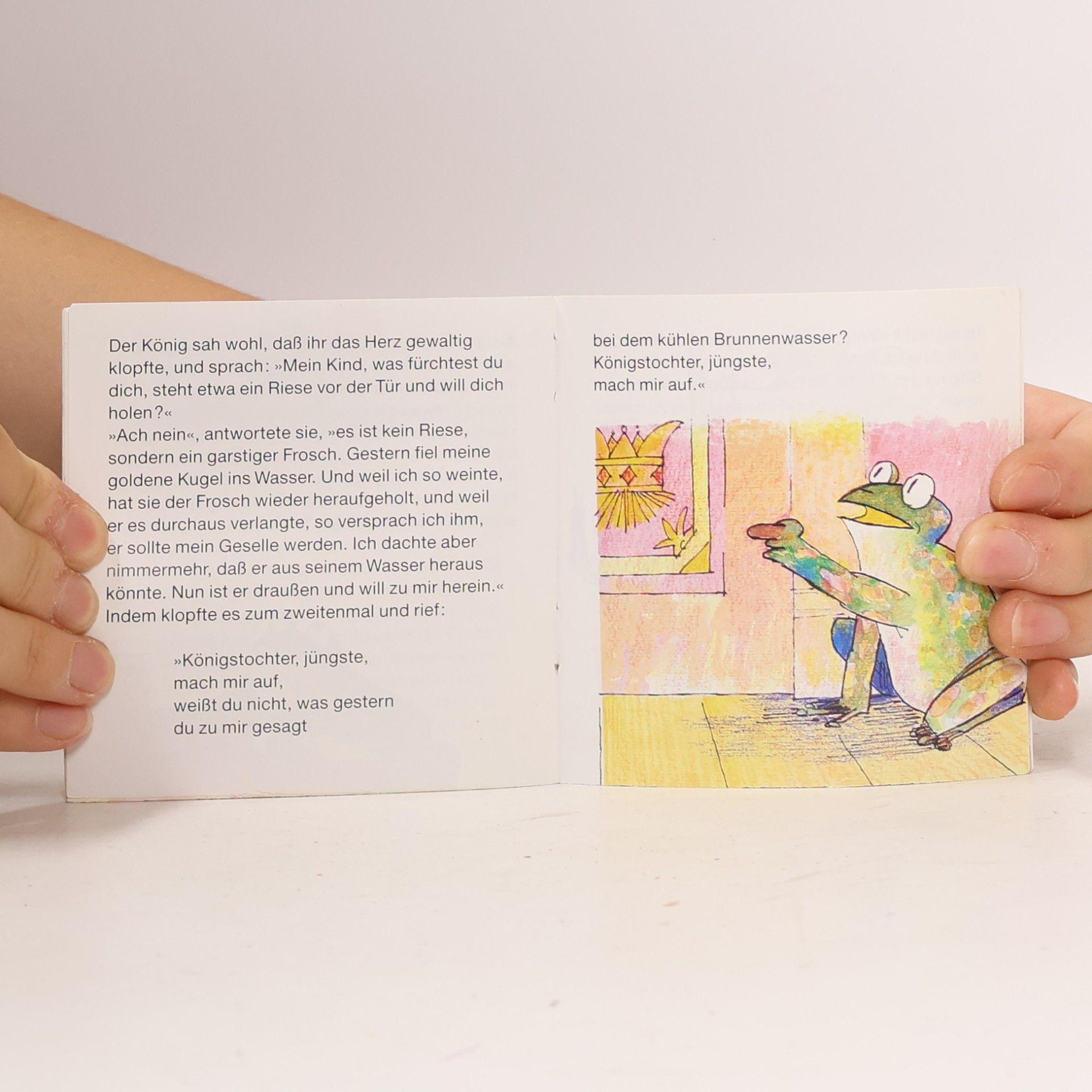 Autorenkollektiv Der Froschkönig oder der eiserne Heinrich