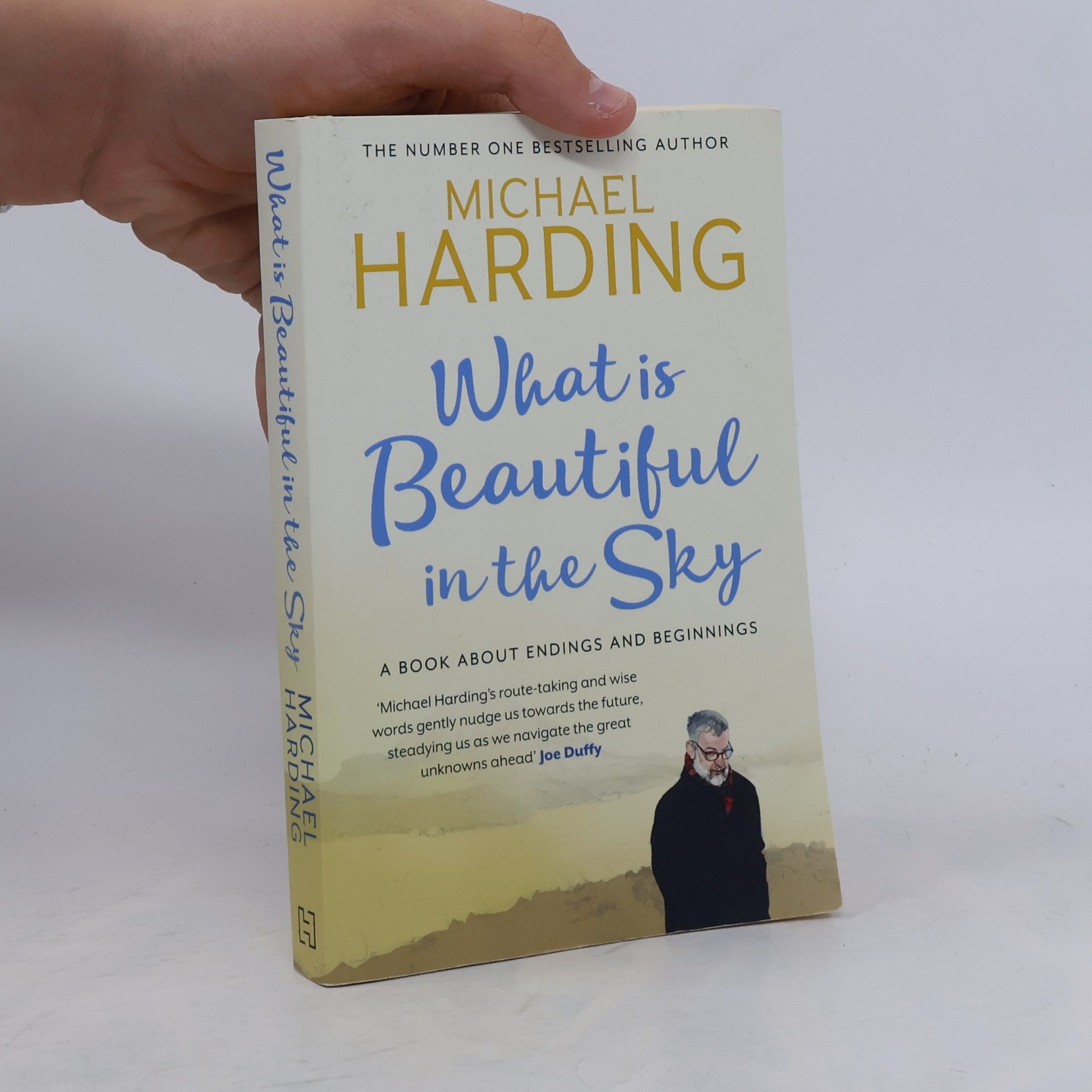 Michael Harding What is Beautiful in the Sky