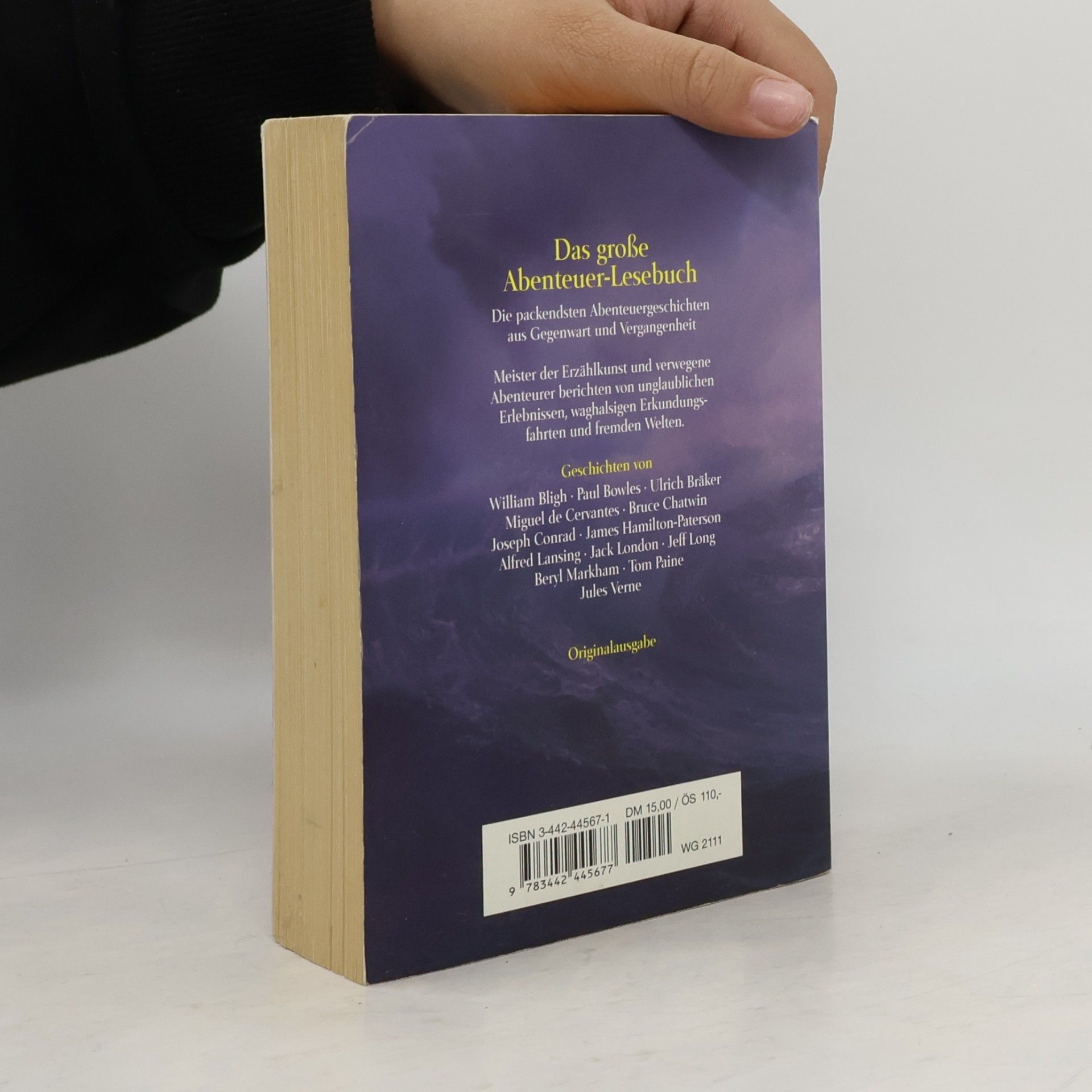 Andrea Best Das große Abenteuer-Lesebuch