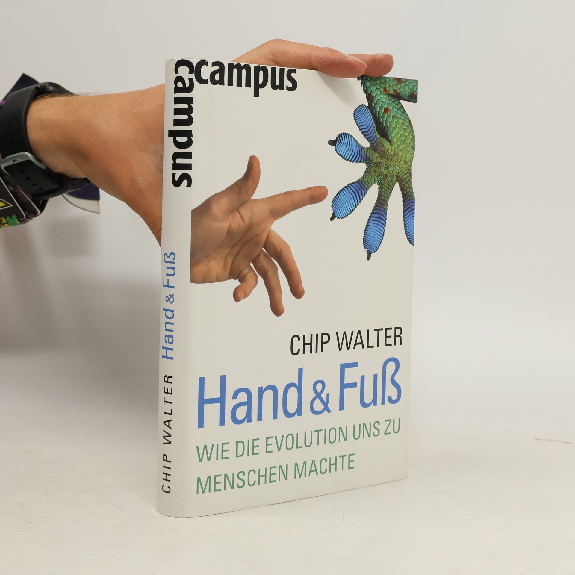 Chip Walter Hand & Fuß