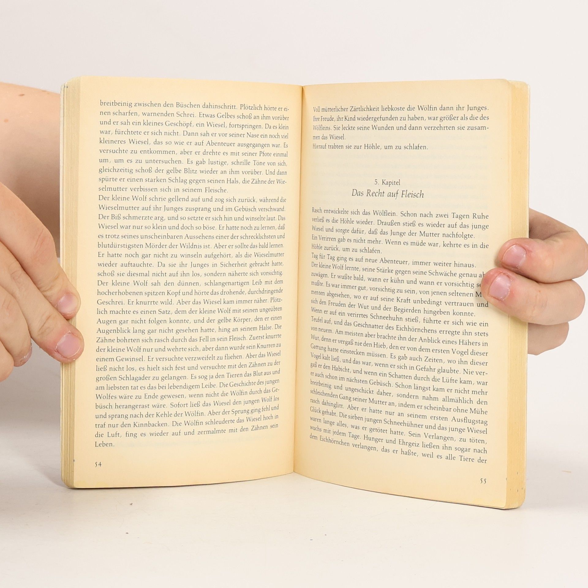 Jack London Wolfsblut