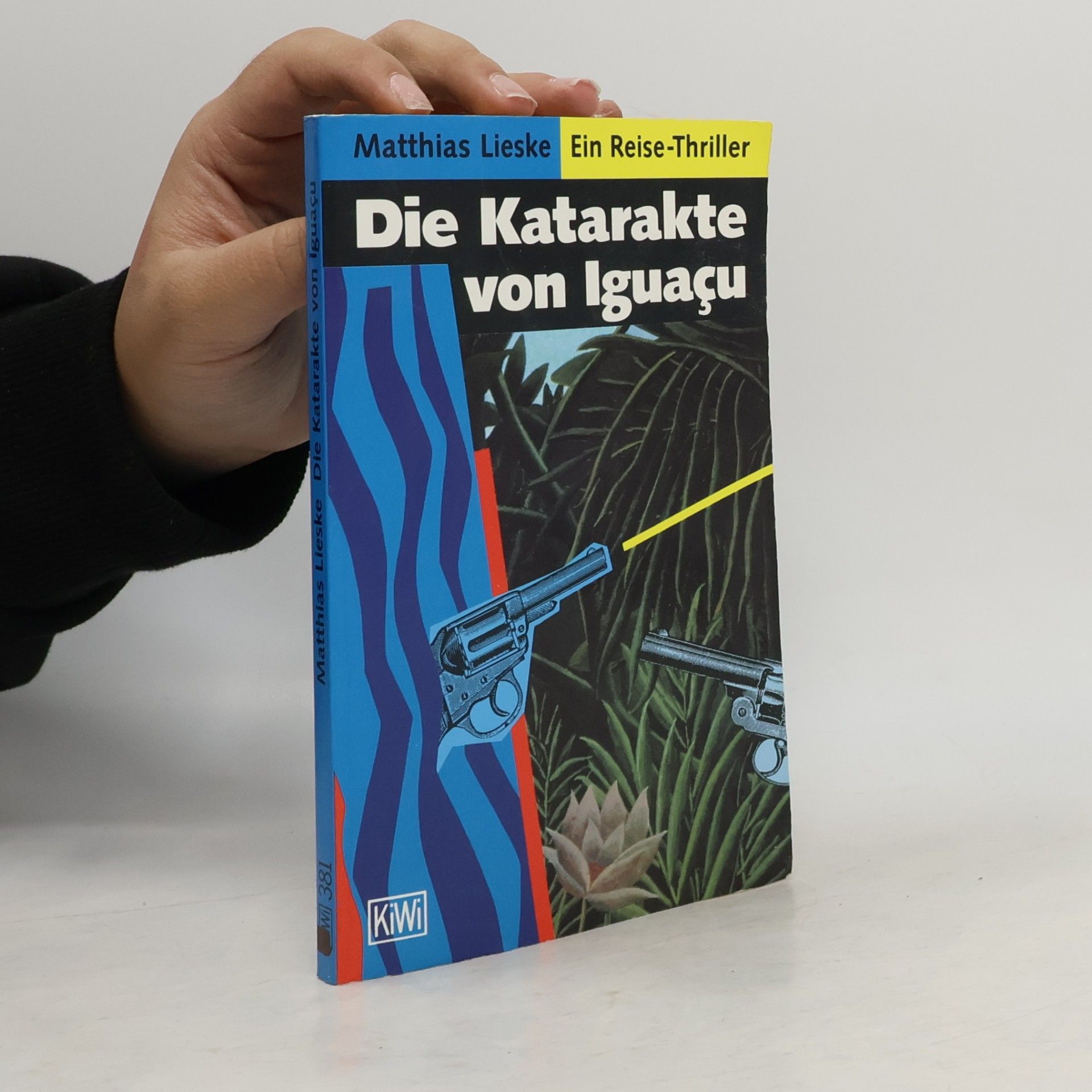 Die Katarakte von Iguaçu